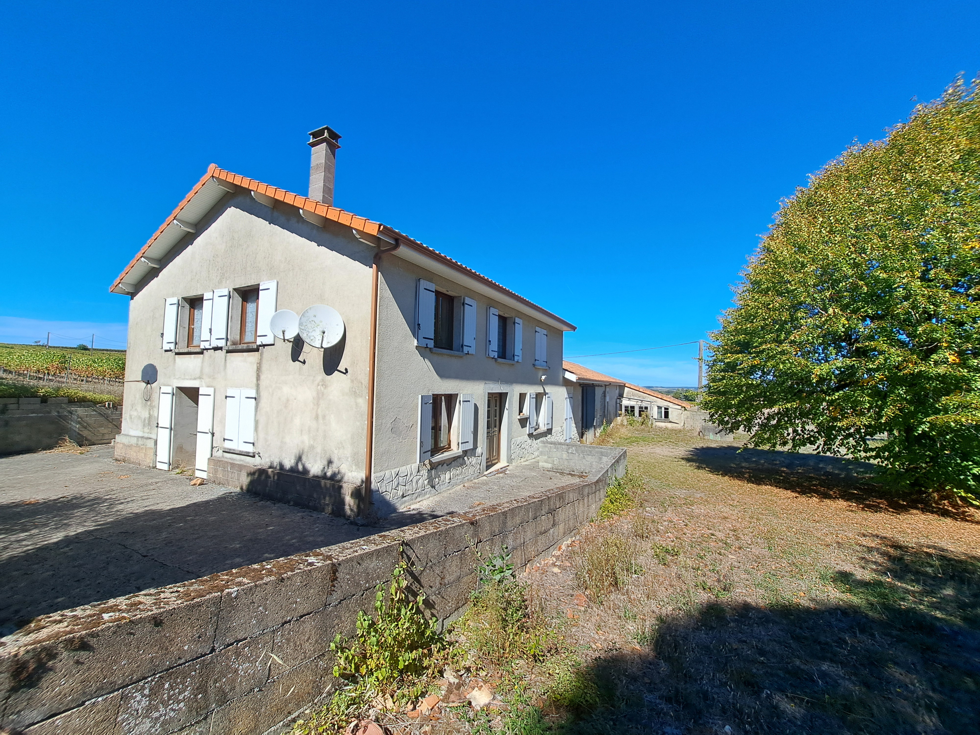Photo 17 - Maison – 156 m² – Sans voisin – Dépendances – Terrain 4115 m²