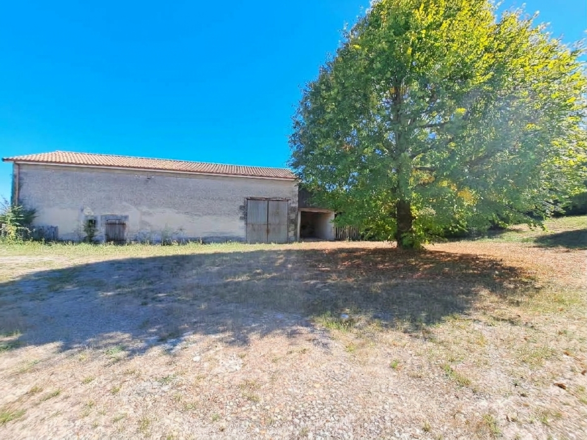 Photo 18 - Maison – 156 m² – Sans voisin – Dépendances – Terrain 4115 m²