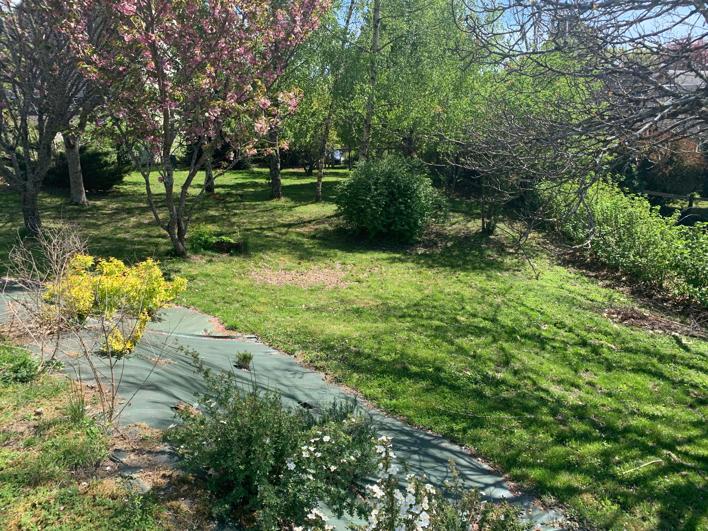 Photo 31 - Maison / gîte avec piscine