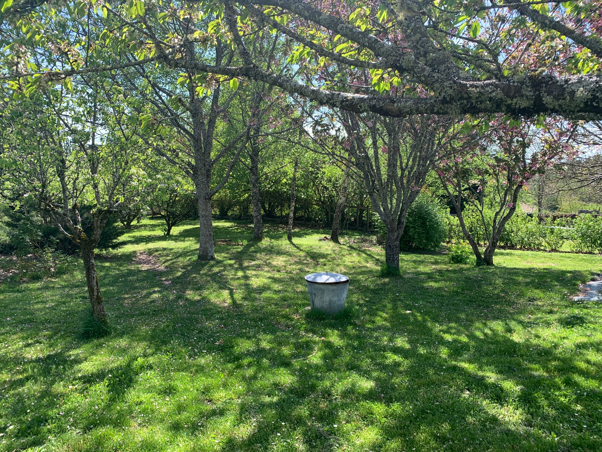 Photo 30 - Maison / gîte avec piscine