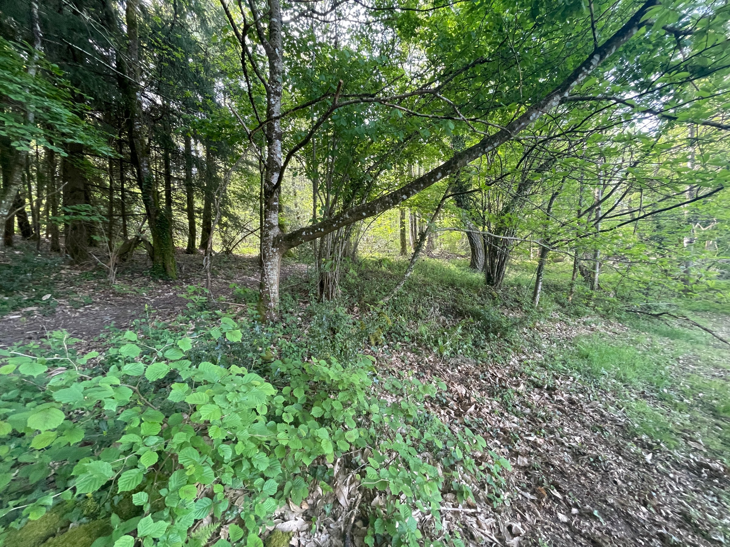 Photo 33 - Maison atypique 156 M2 – 6 Pièces DUN LE PALESTEL 23800