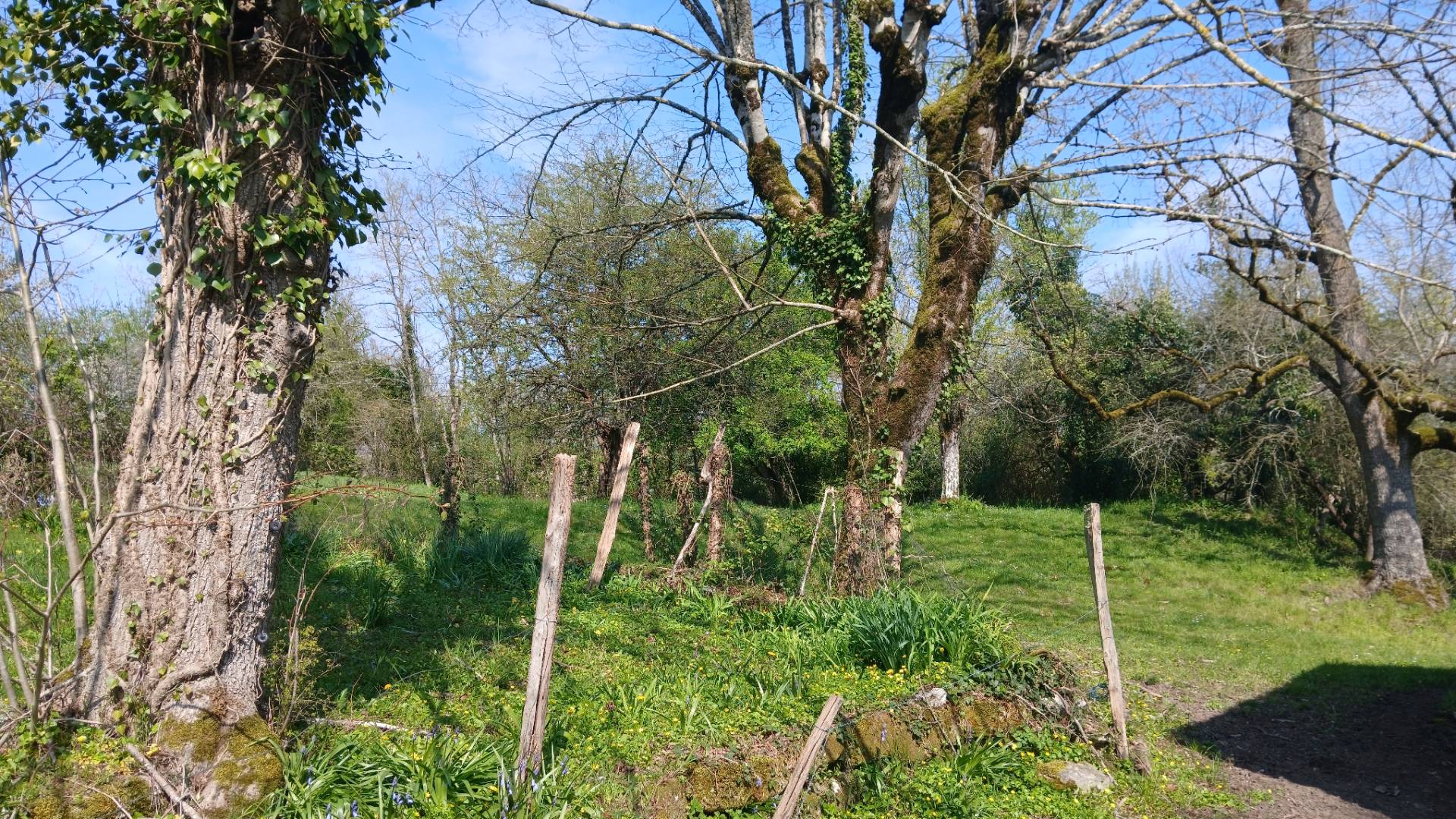Photo 22 - Maison de Maître 290 m², granges et dépendances, 1.2 ha