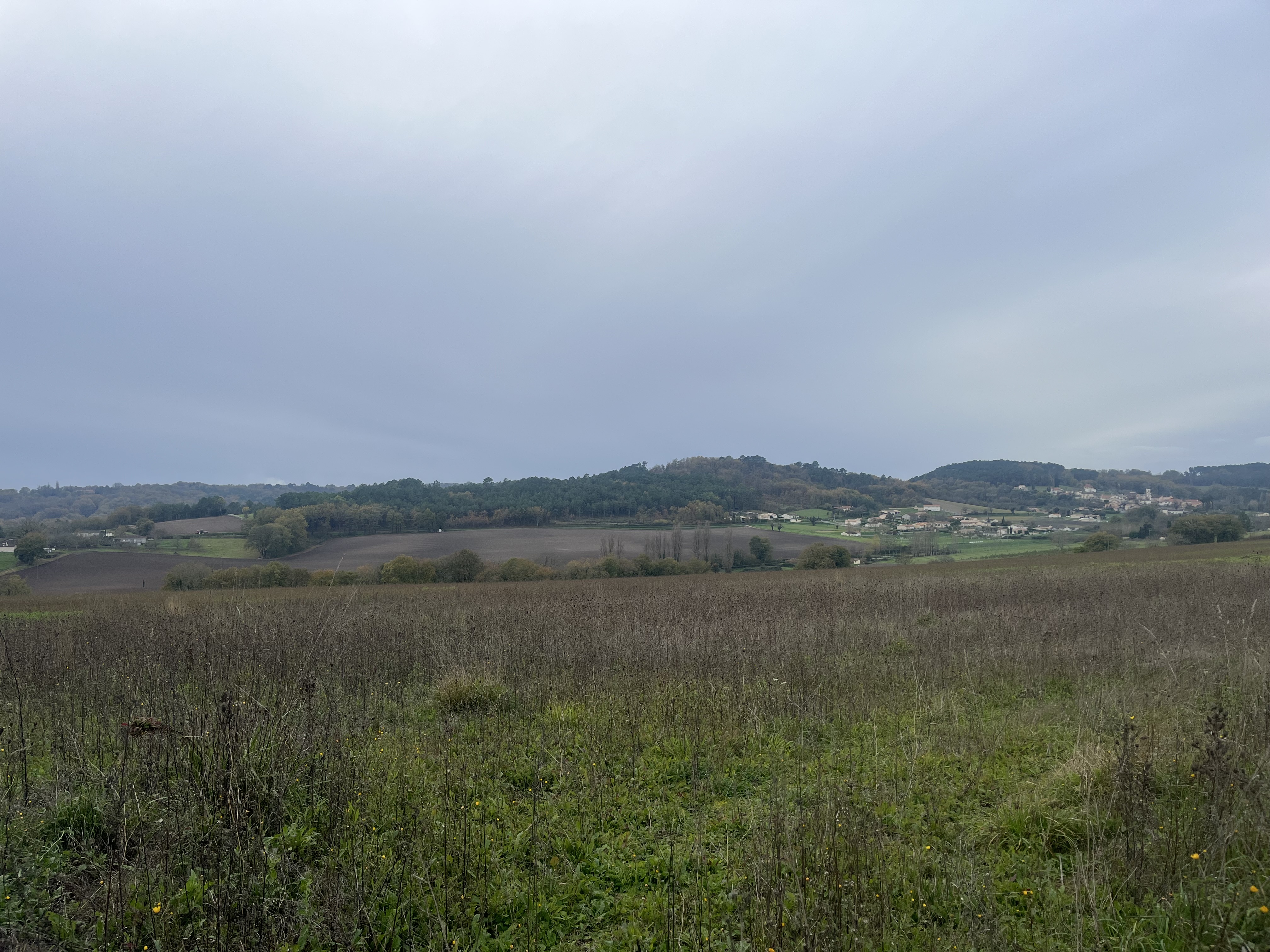 Photo 3 - À vendre – Terrain viabilisé de 2 482 m² Léguillac-de-l’Auche (24110)