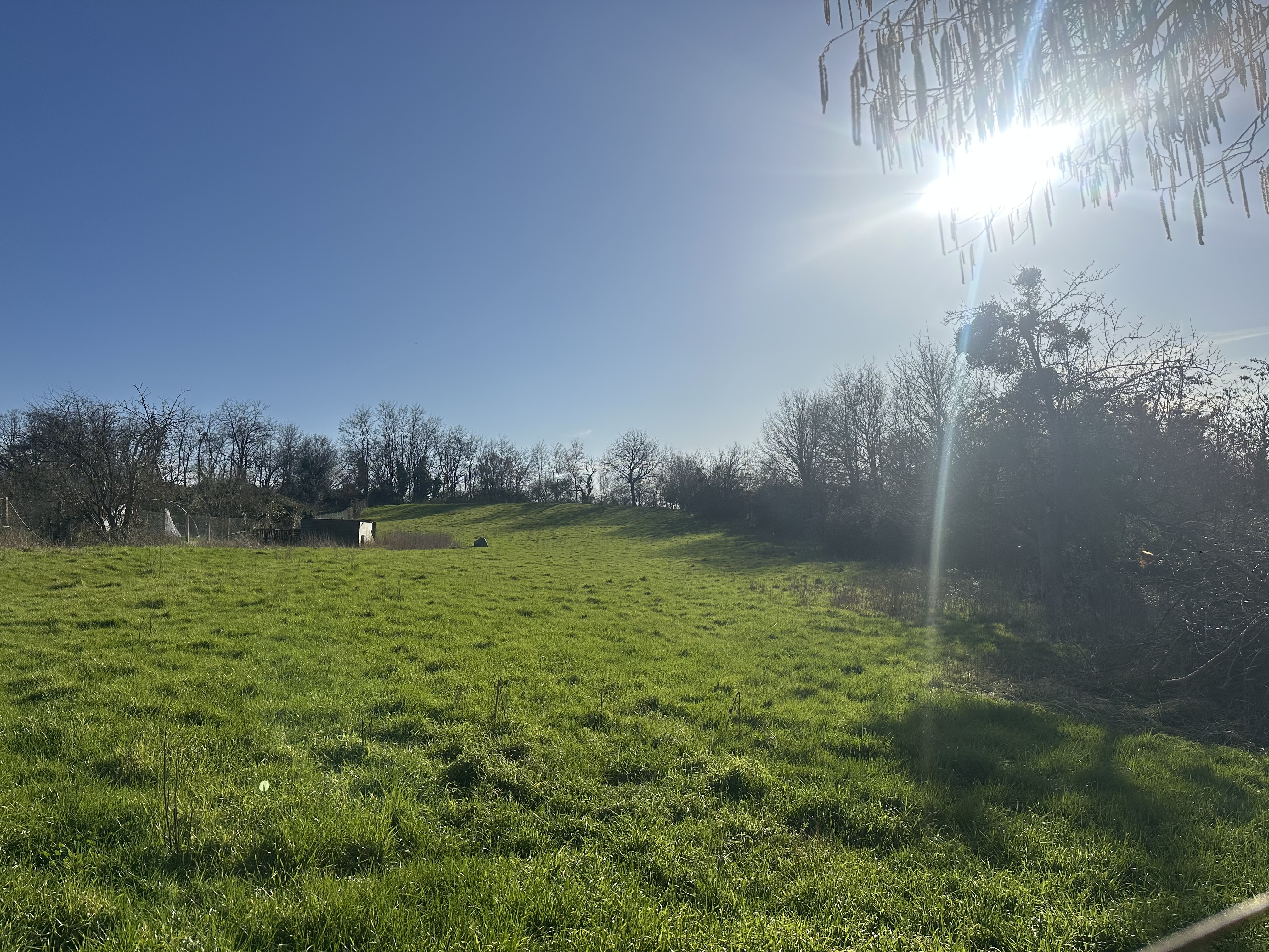Photo 18 - Maison de campagne !