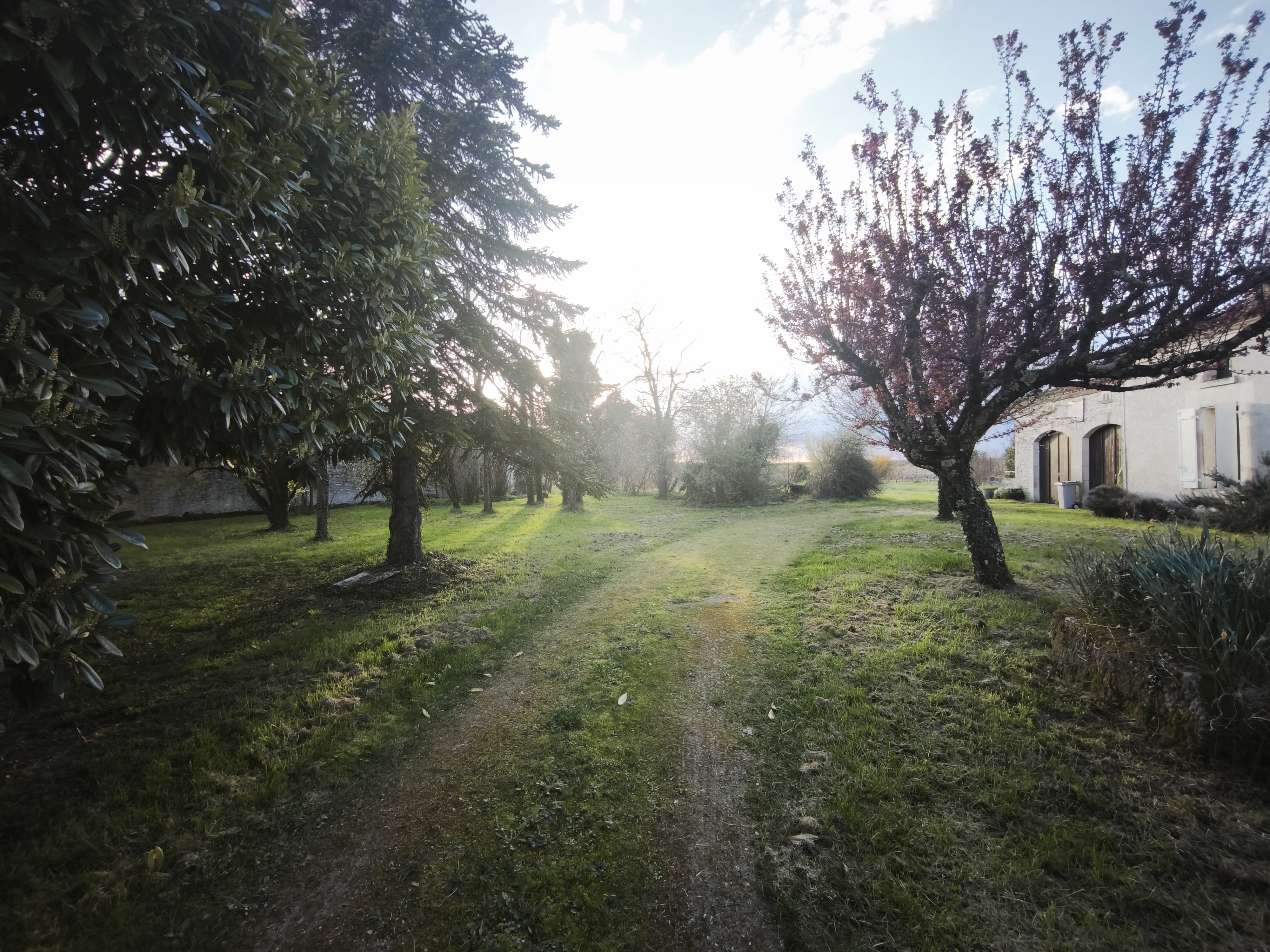 Photo 20 - Maison ancienne