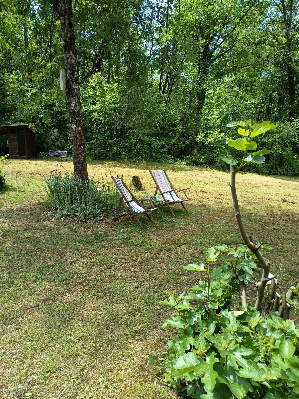 Photo 7 - Maison Familiale avec gîte et piscine