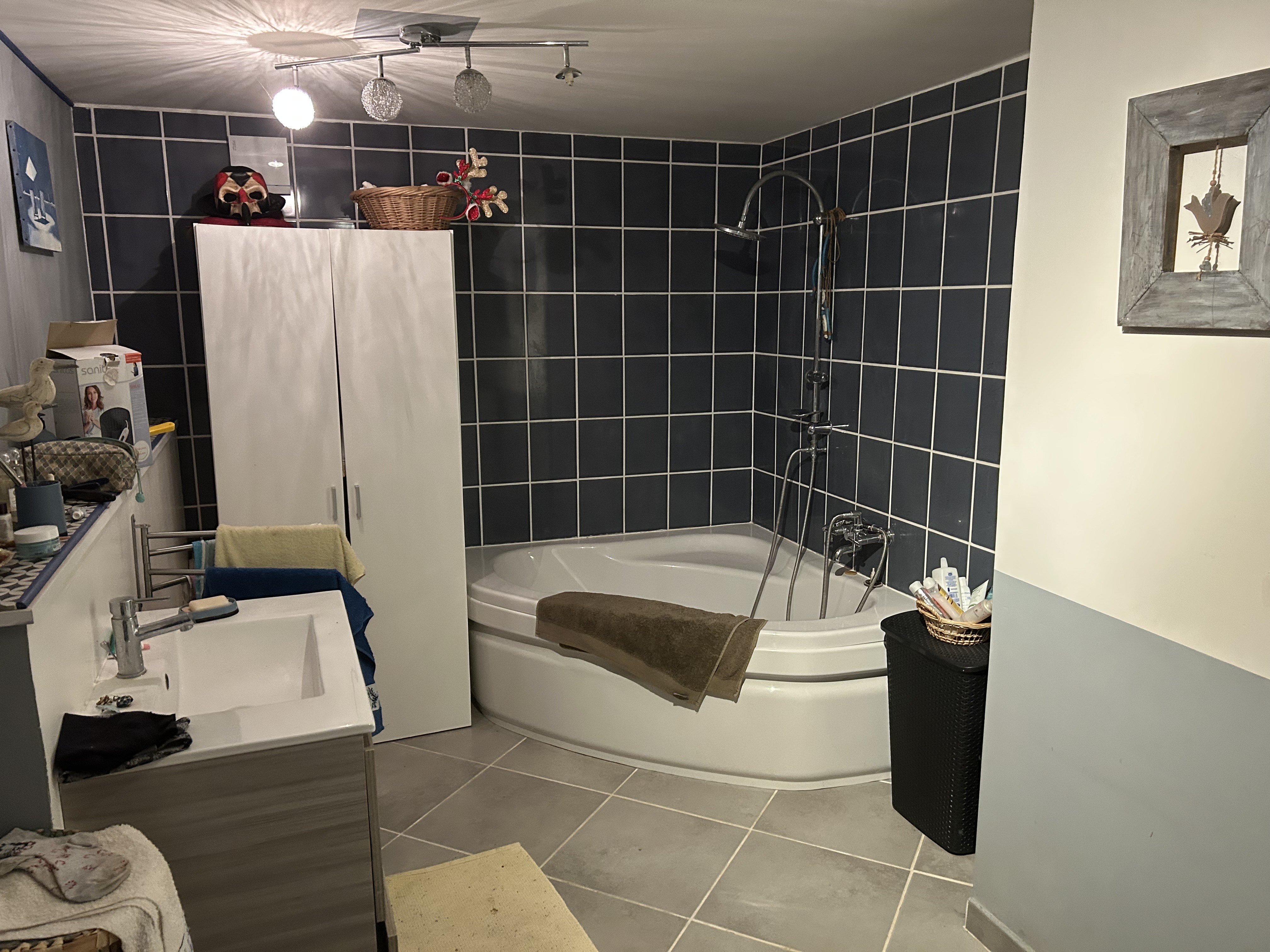 Photo 47 - Maison Familiale avec gîte et piscine