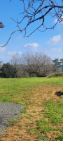 Photo 14 - maison neuve