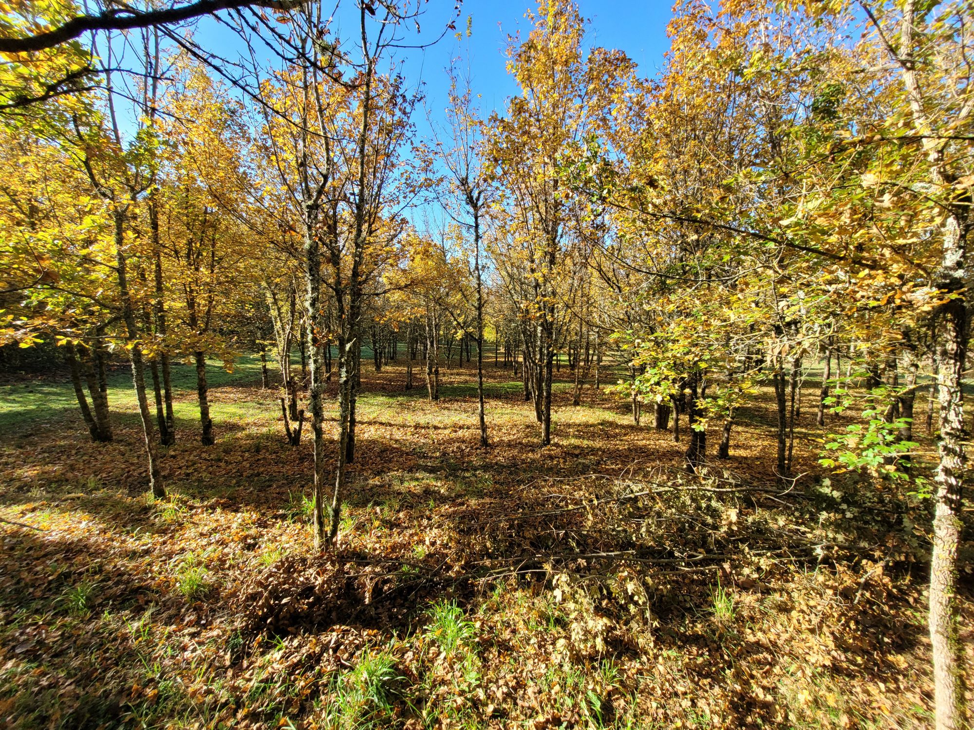 Photo 15 - Chalet en pleine campagne !
