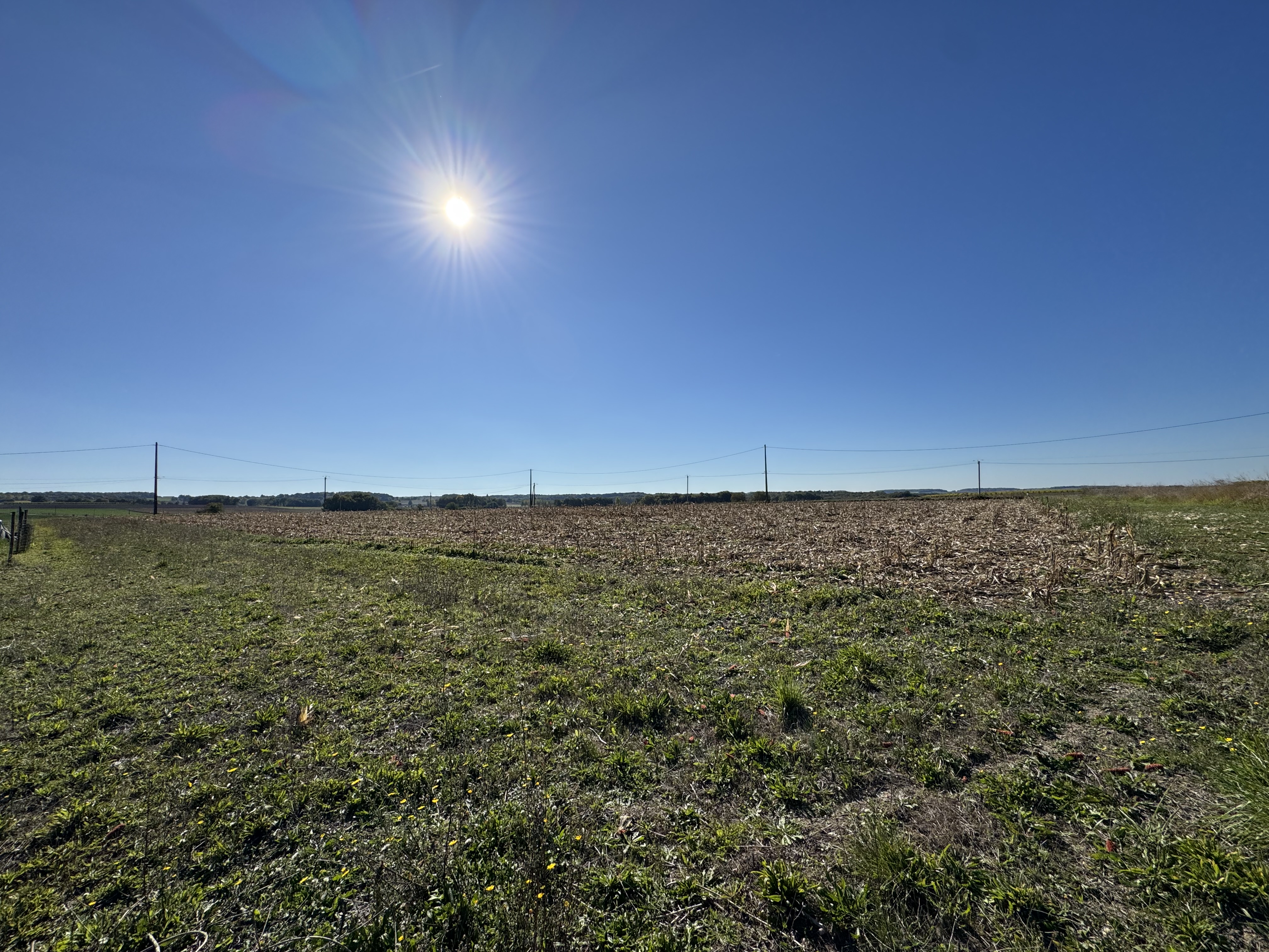 Photo 12 - Maison – 103 m² – Terrain 8 500 m²