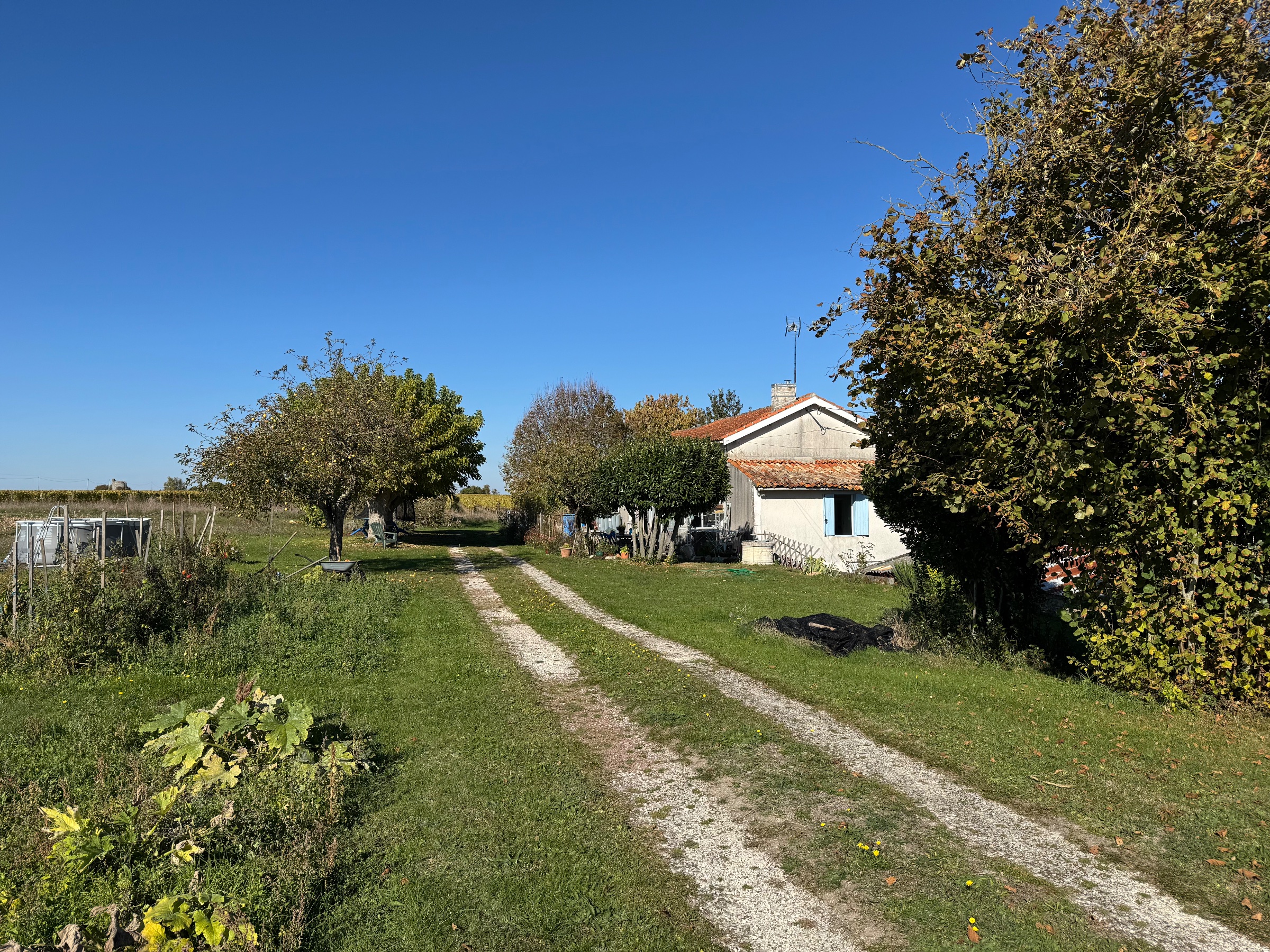 Photo 13 - Maison – 103 m² – Terrain 8 500 m²