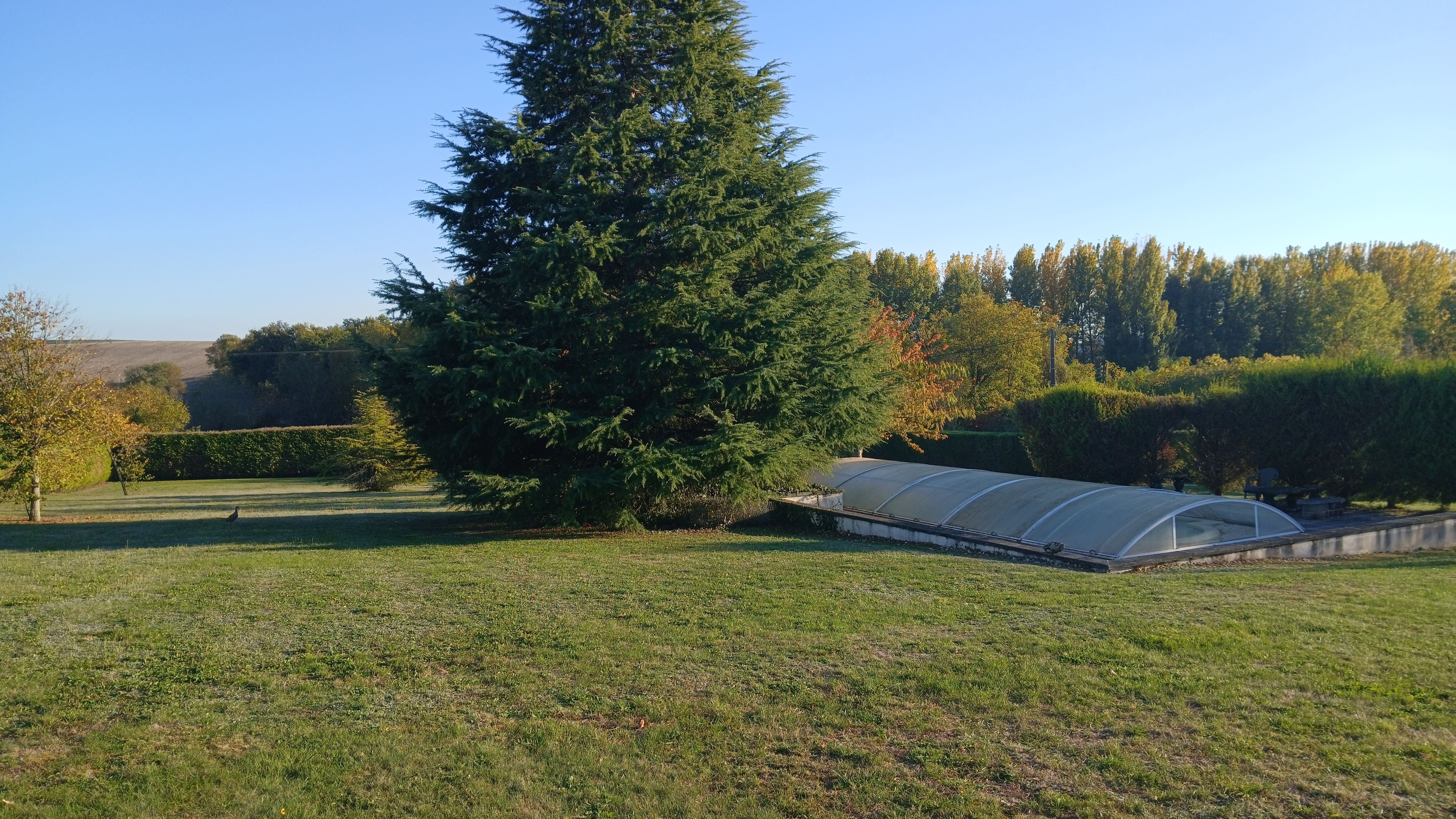 Photo 11 - Maison campagne 123 m² terrain 6000 m²