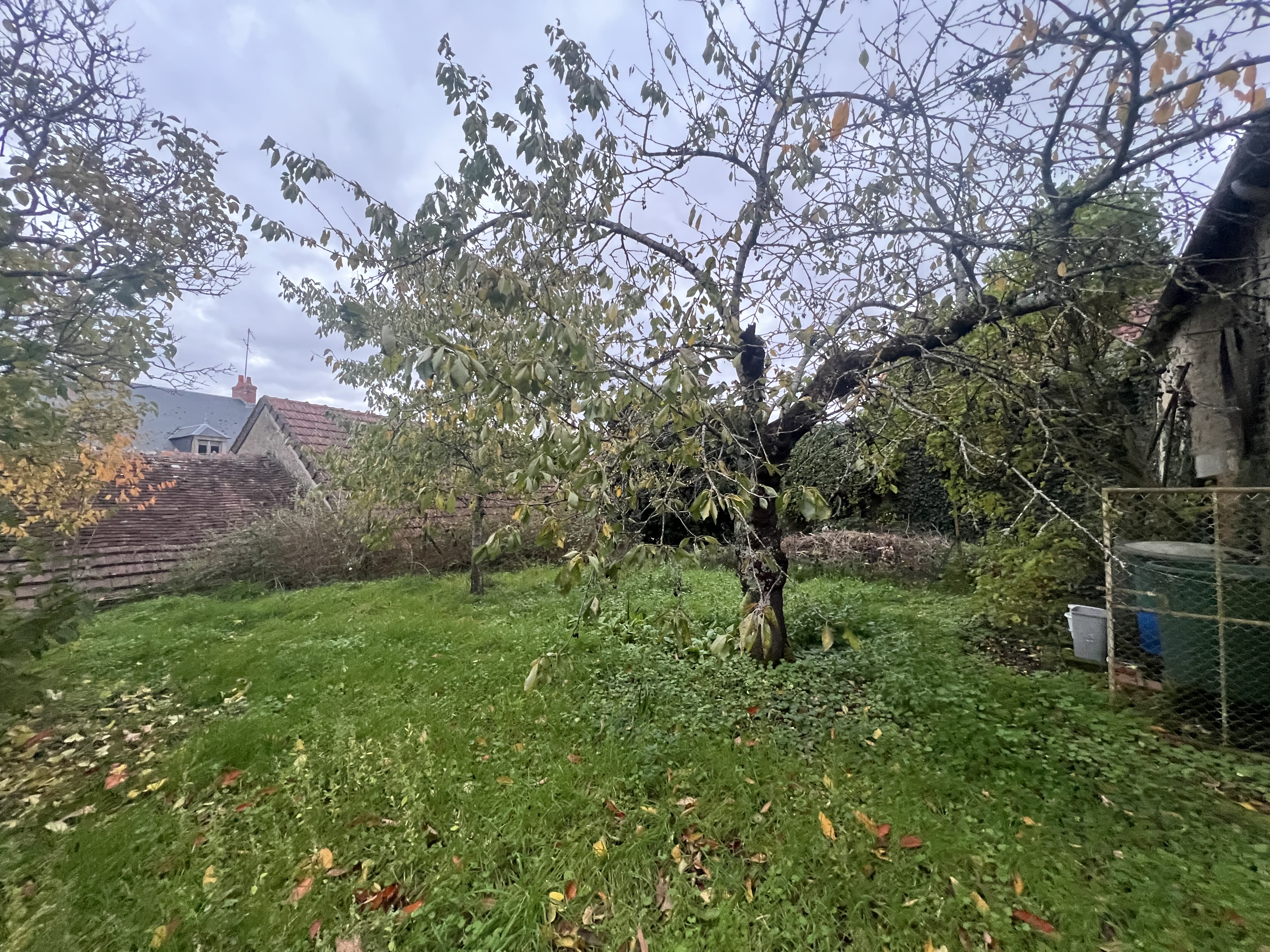 Photo 15 - Maison de ville avec grange et jardin !