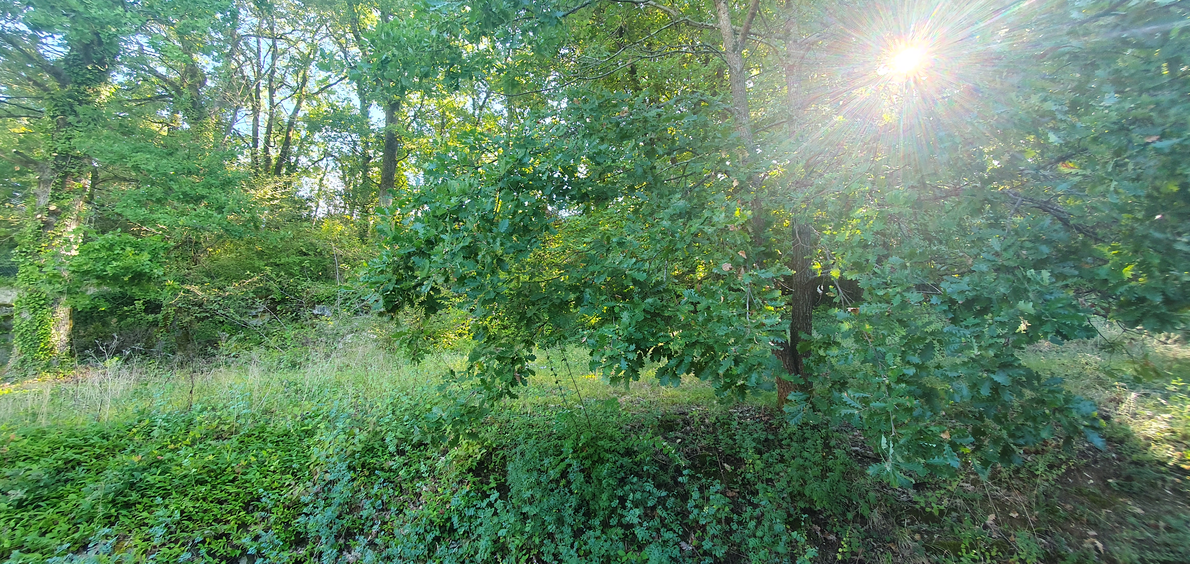 Maison T4 avec Jardin et sous sol - Photo 3