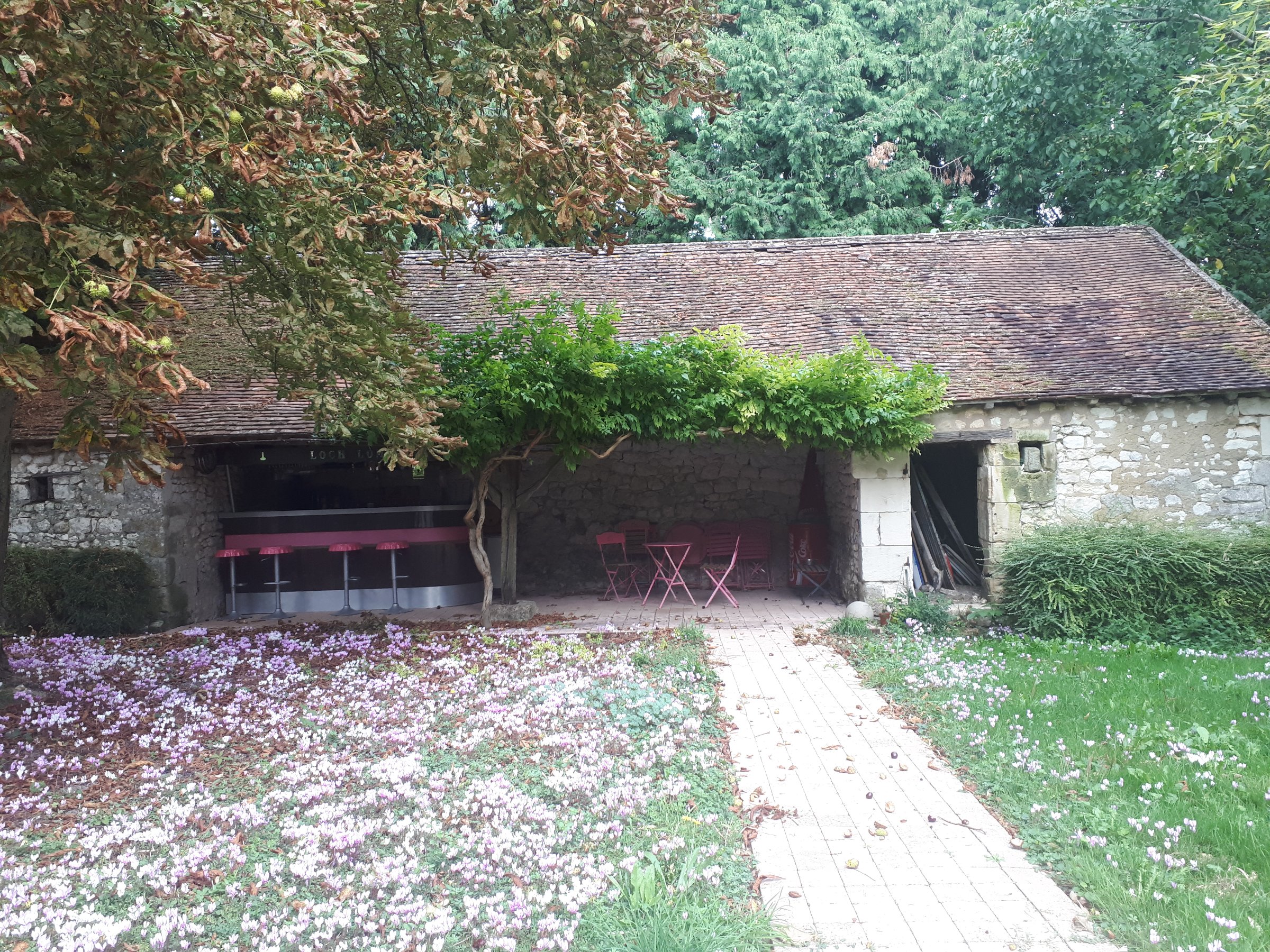 Photo 64 - Château médiéval