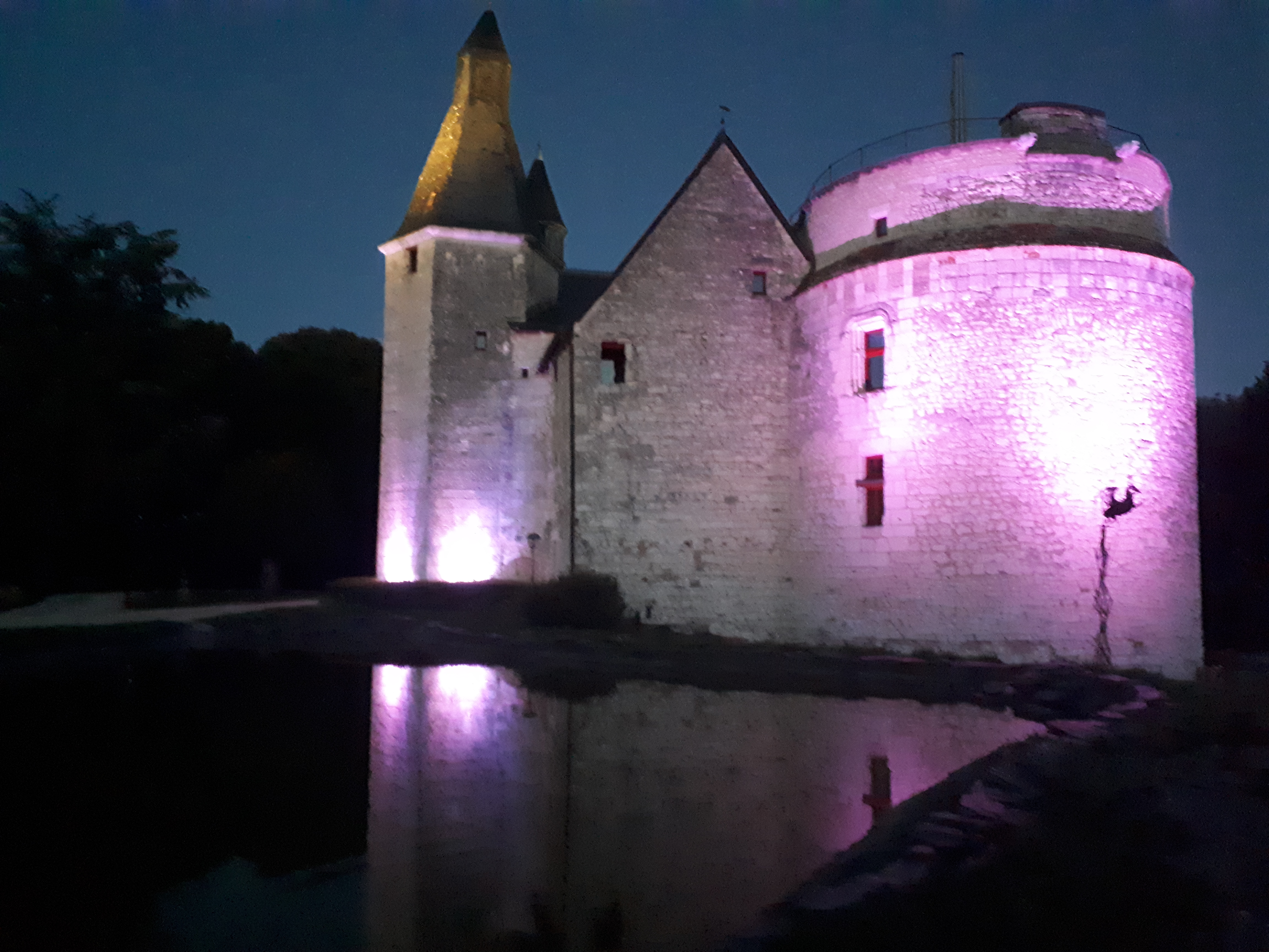 Photo 80 - Château médiéval