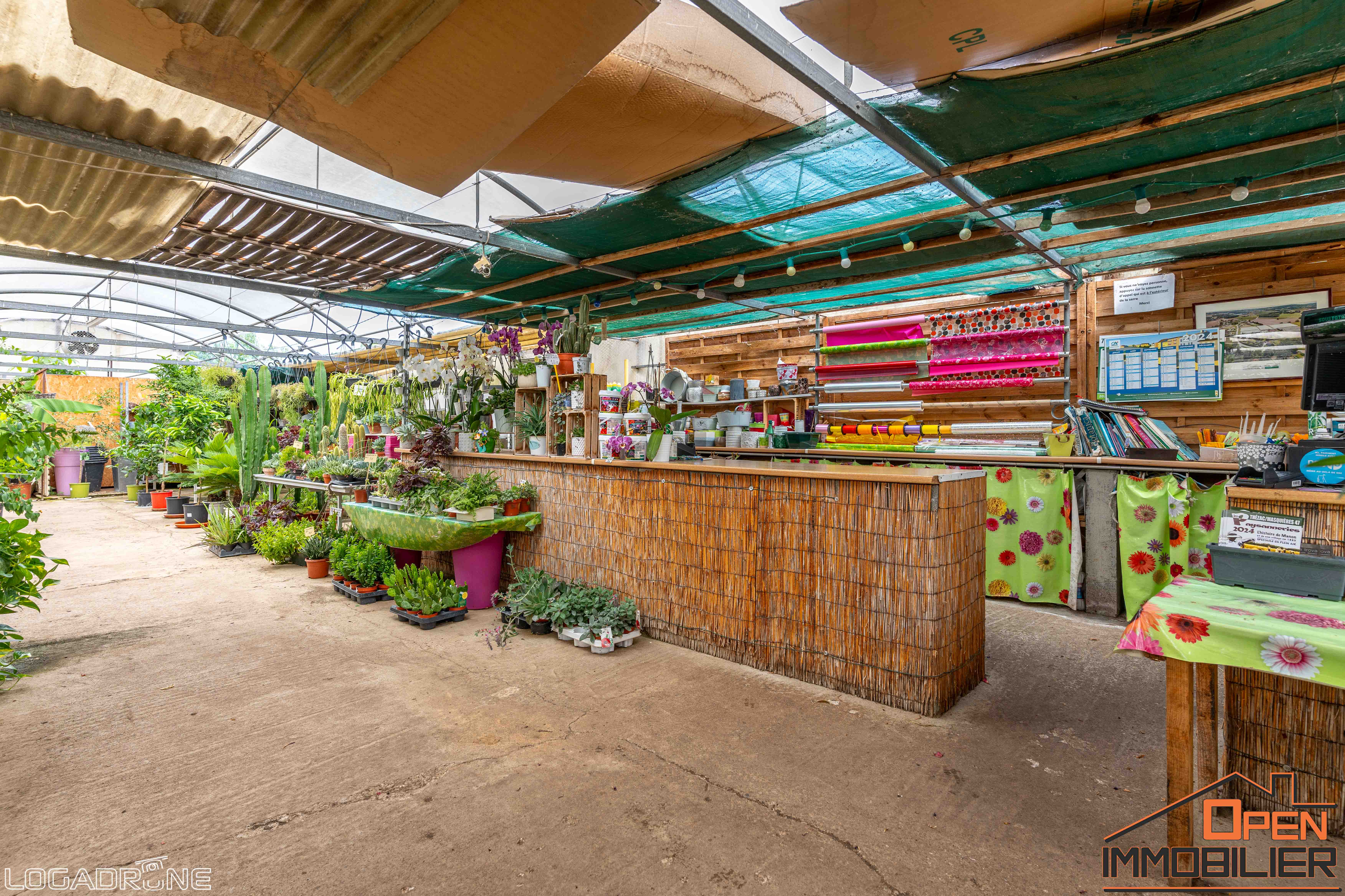Photo 10 - Propriété horticole