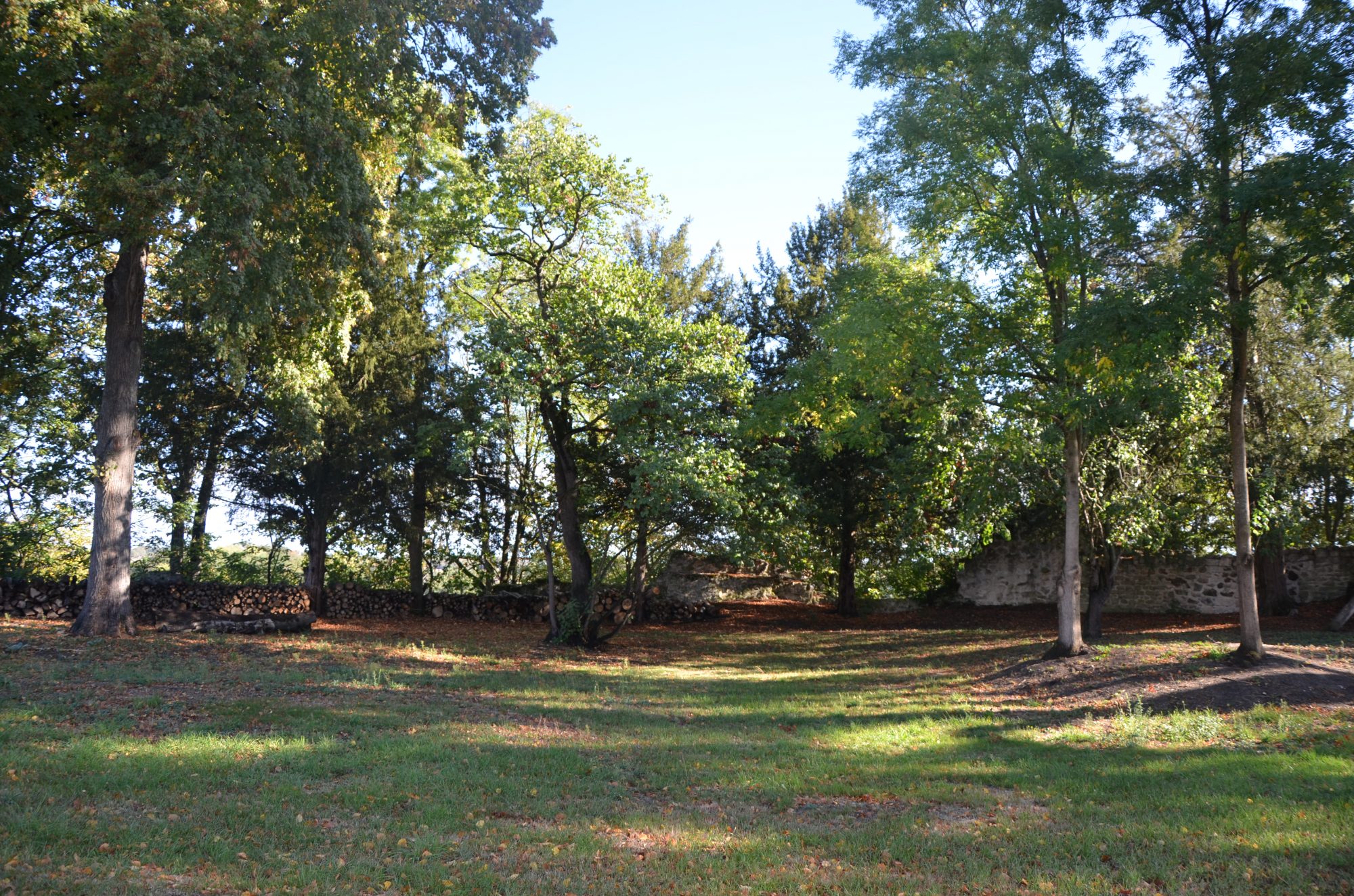 Photo 6 - Propriété sur près de 2ha !