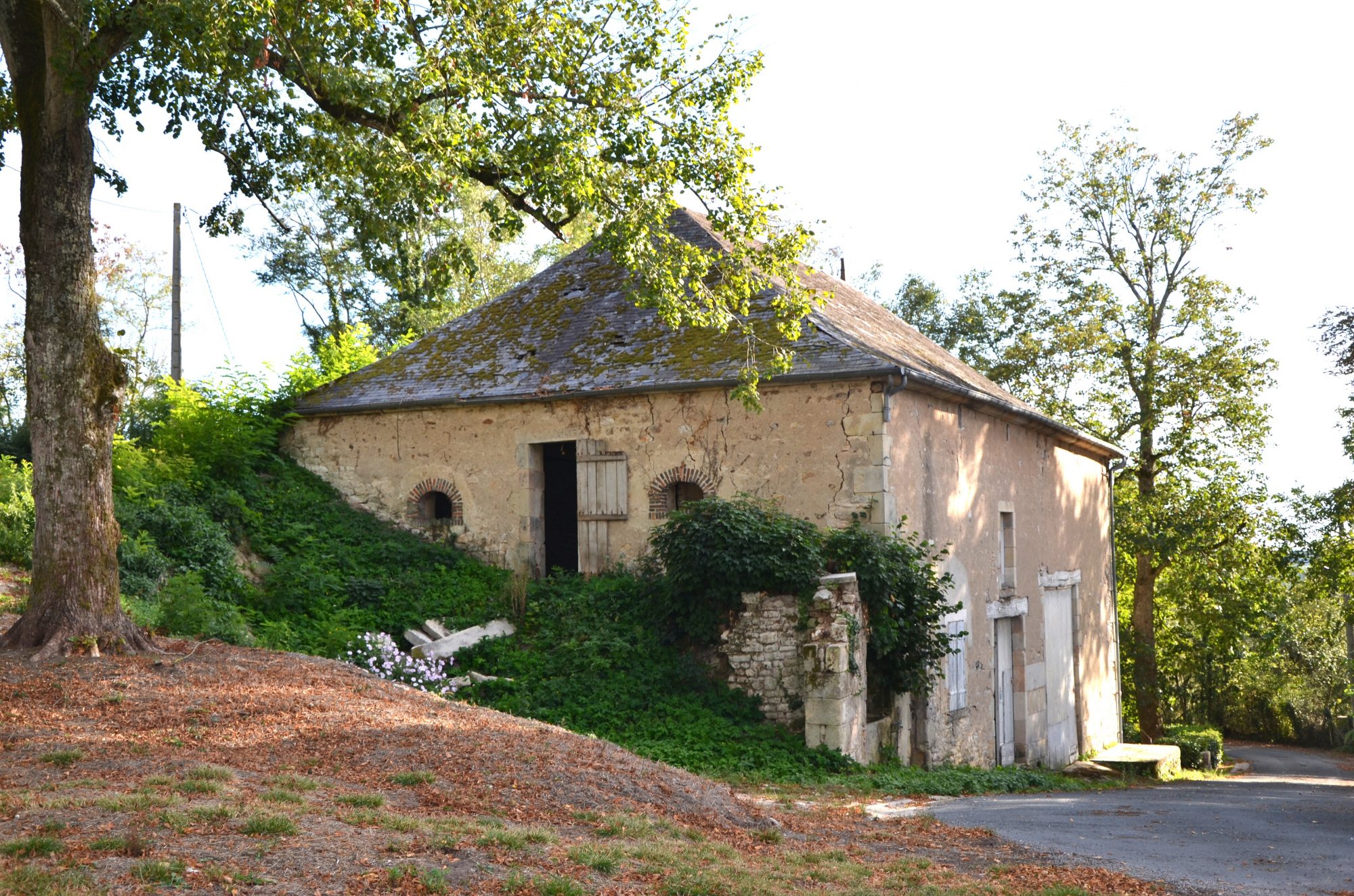 Photo 20 - Propriété sur près de 2ha !