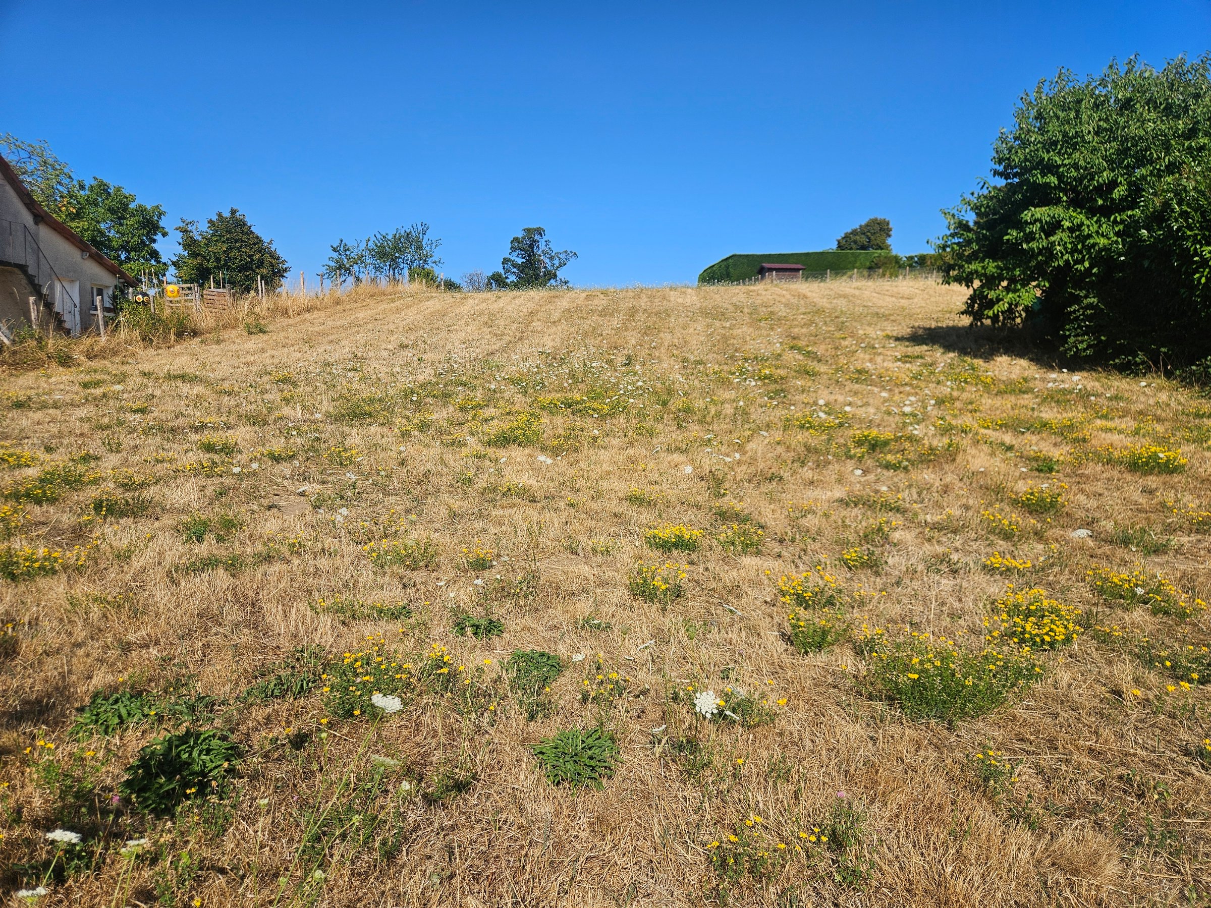 Photo 2 - Terrain constructible