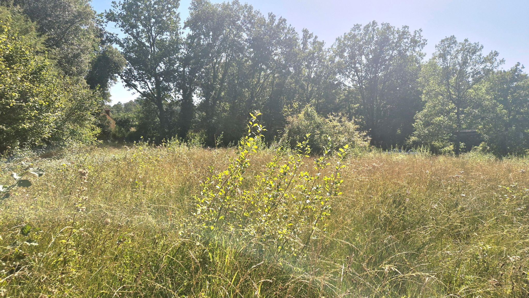 Photo 3 - Superbe terrain au calme plat dans un hâvre de paix proche sarlat