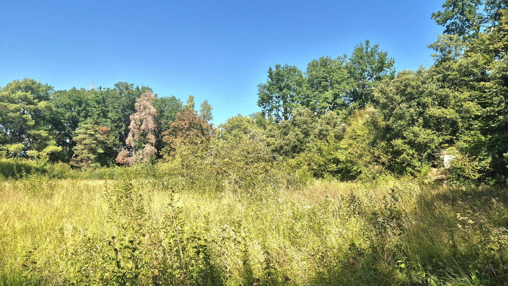 Photo 5 - Superbe terrain au calme plat dans un hâvre de paix proche sarlat