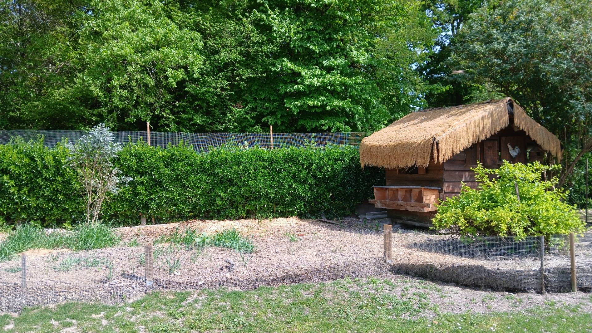 Photo 5 - Maison 2 chambres, garage, terrain clos