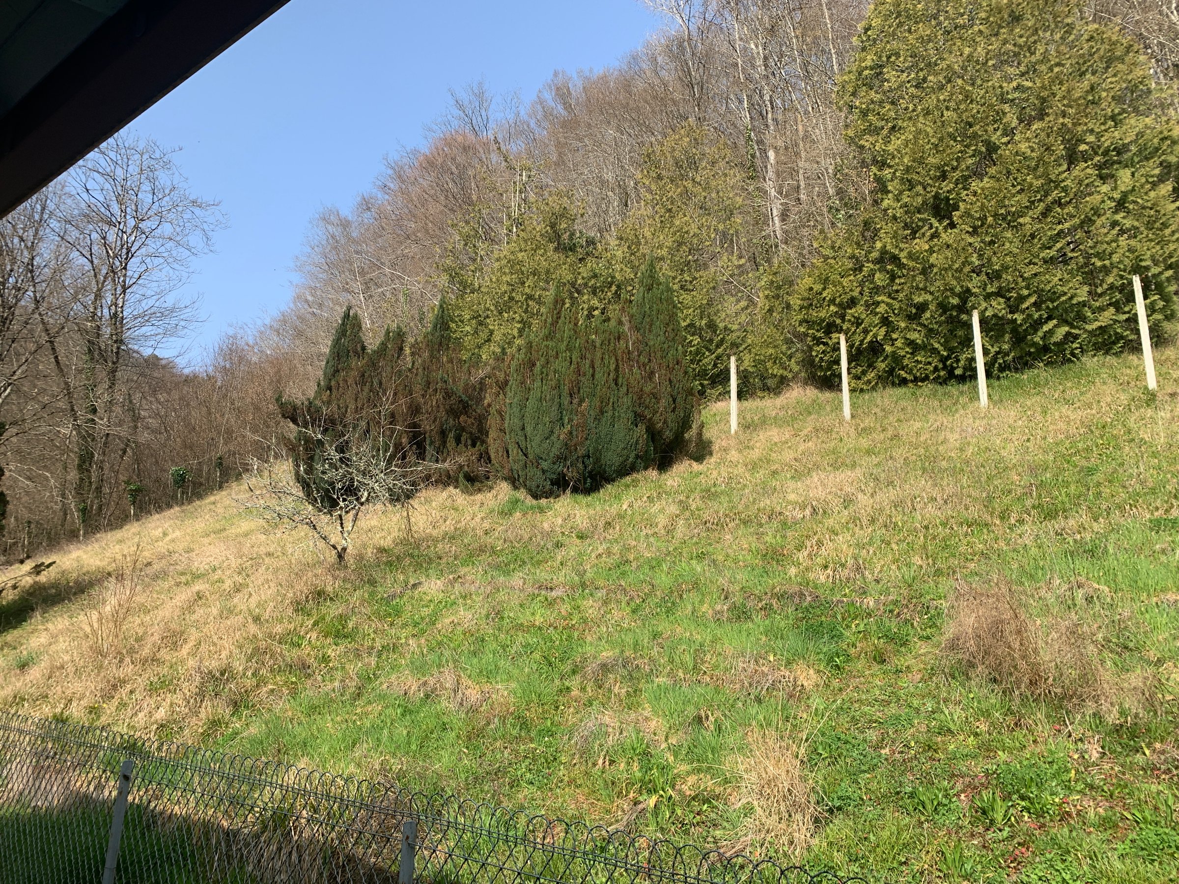 Photo 25 - Maison restaurée avec jolie vue et terrain