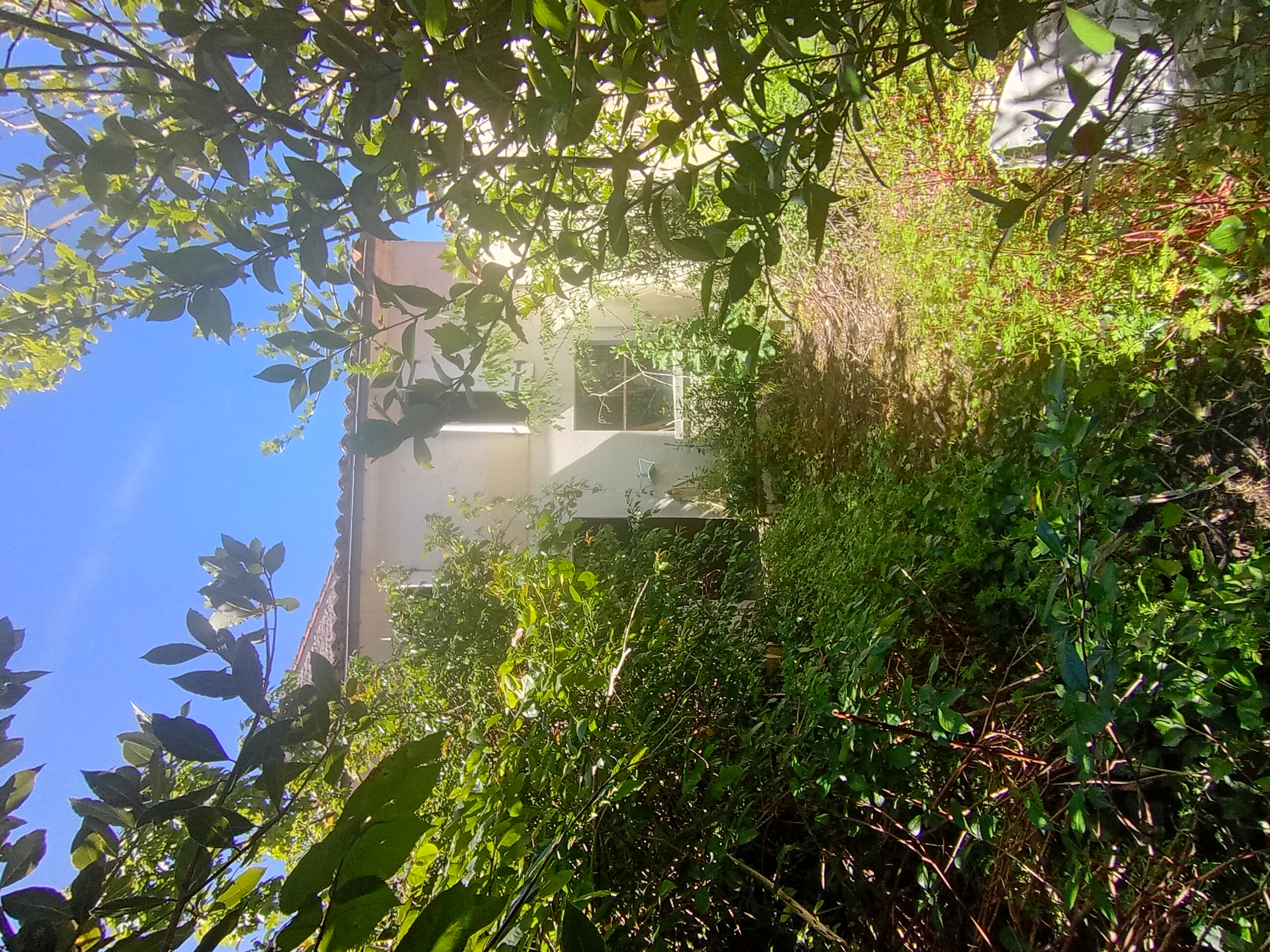 Photo 9 - Maison de ville avec jardin