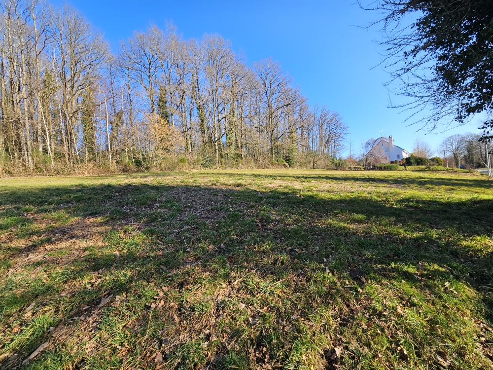 Photo 5 - Terrain constructible