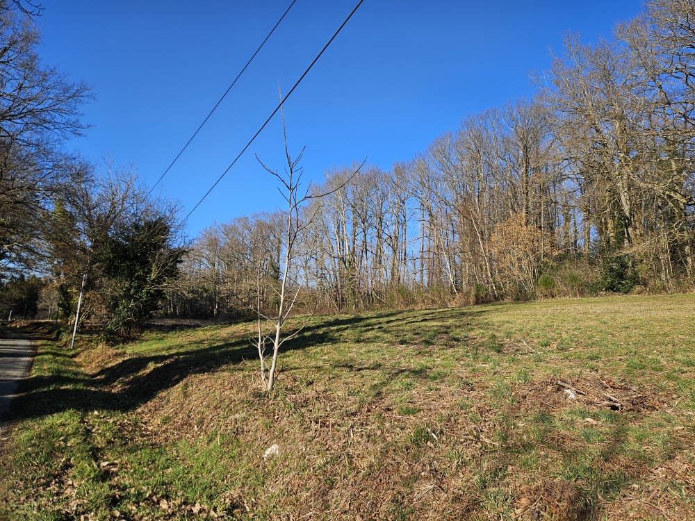 Photo 10 - Terrain constructible