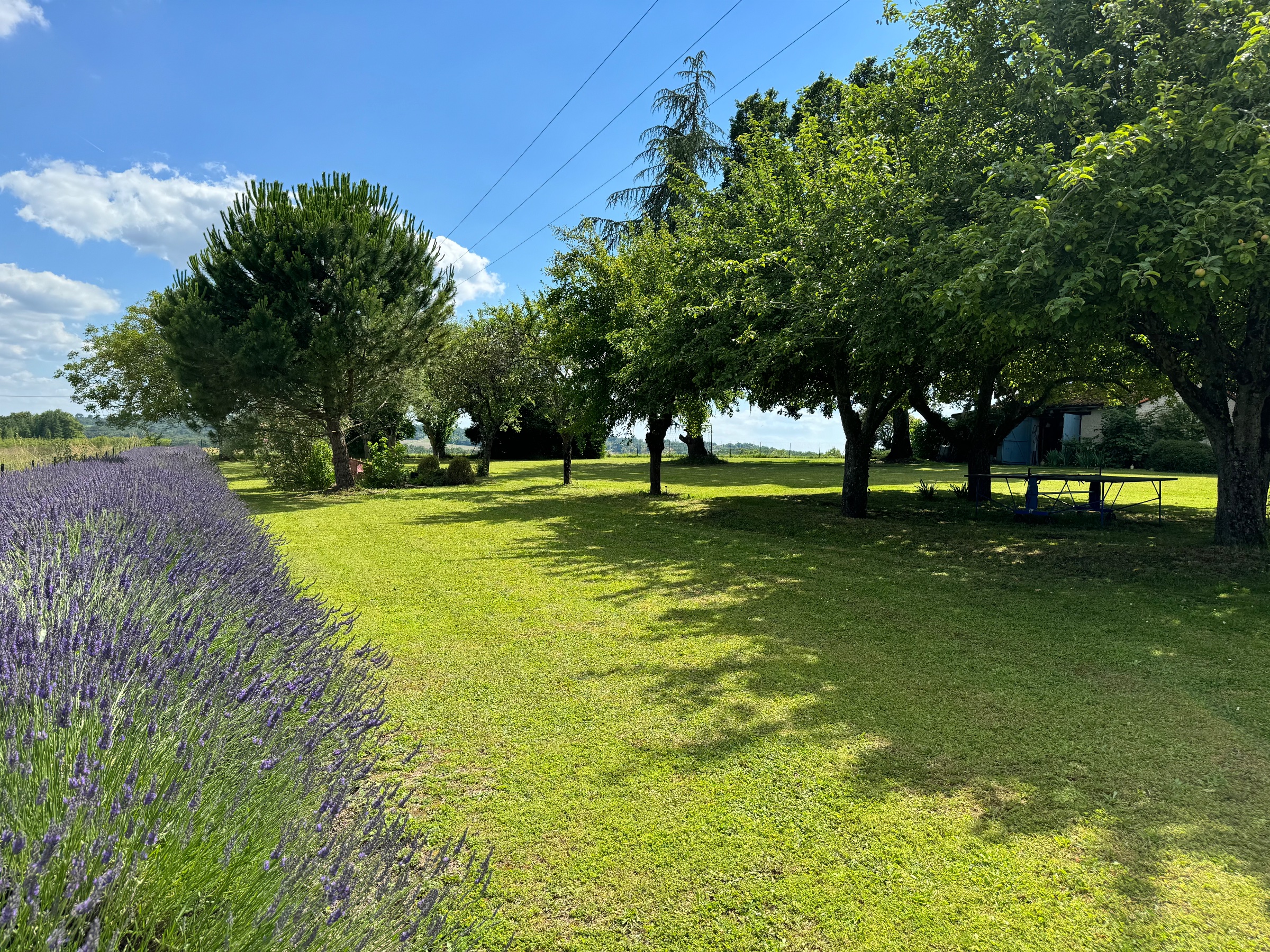 Photo 18 - Maison en pierre 160 m² – Terrain et piscine – sans voisins