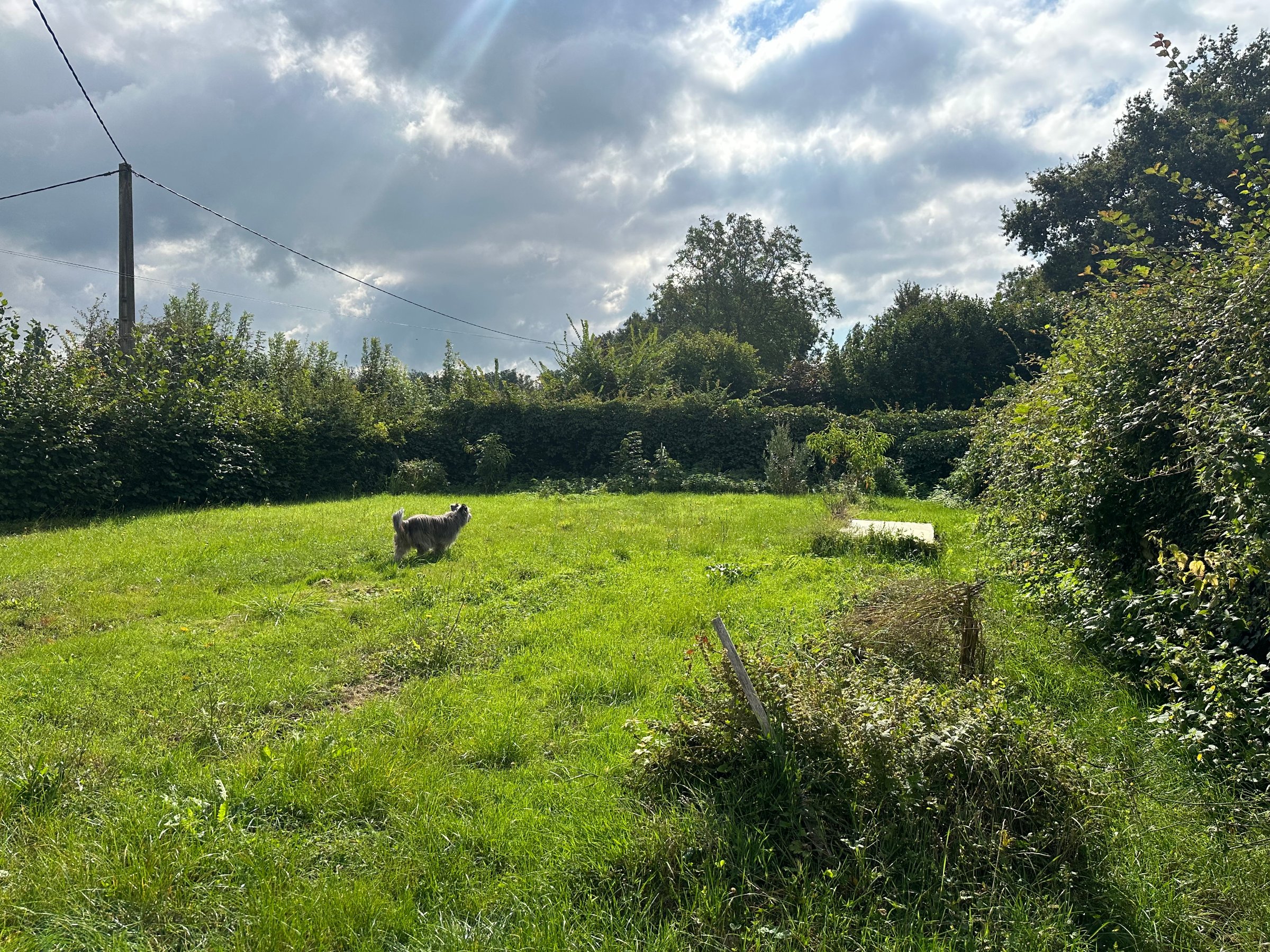 Photo 4 - Maison de campagne