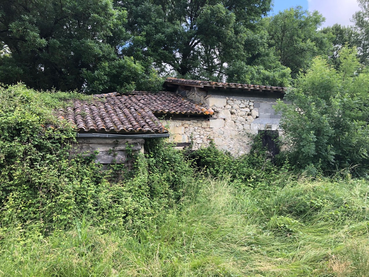 Photo 6 - Moulin à restaurer