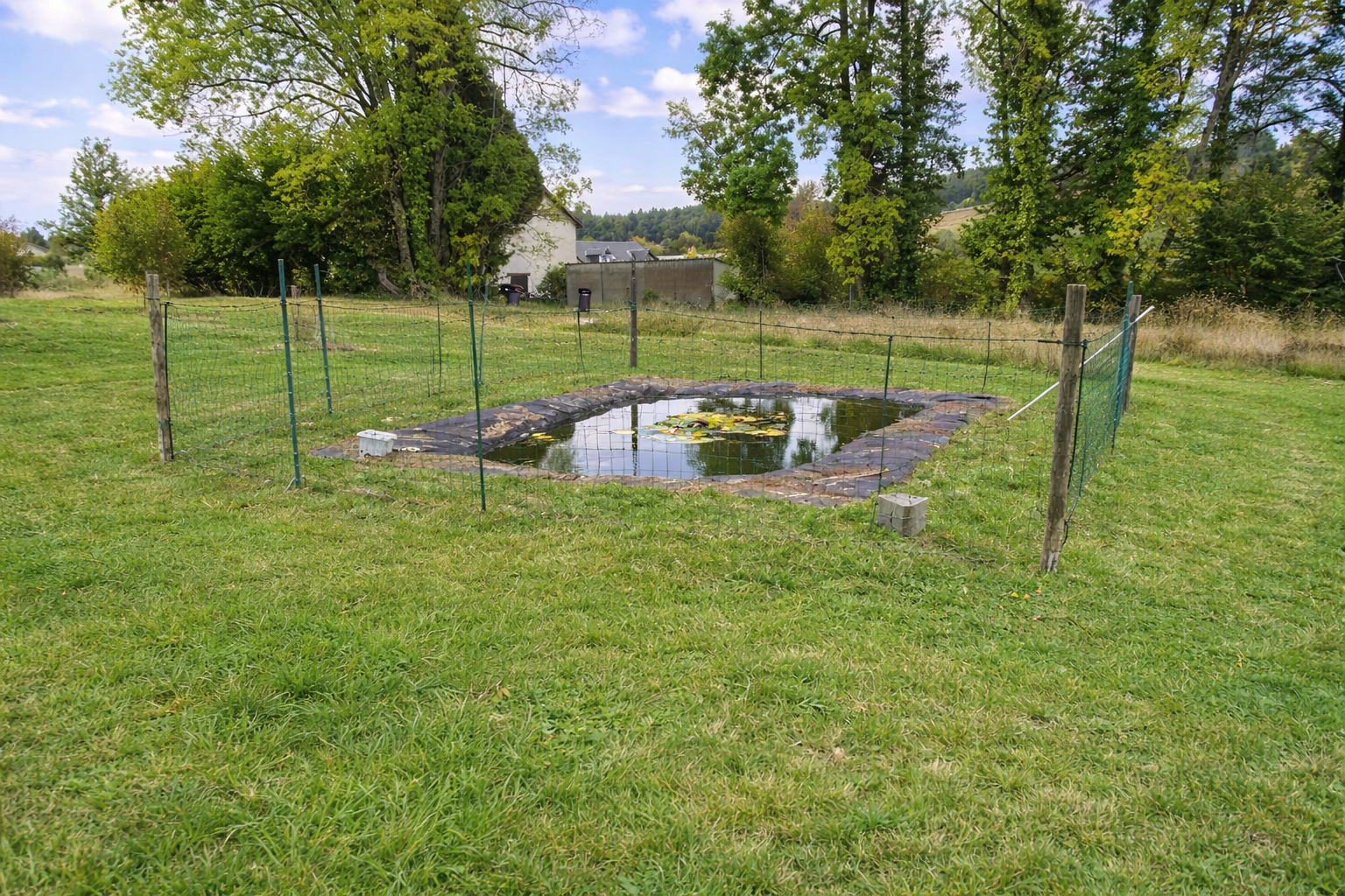 Photo 8 - Maison avec habitation, ancien commerce et grange
