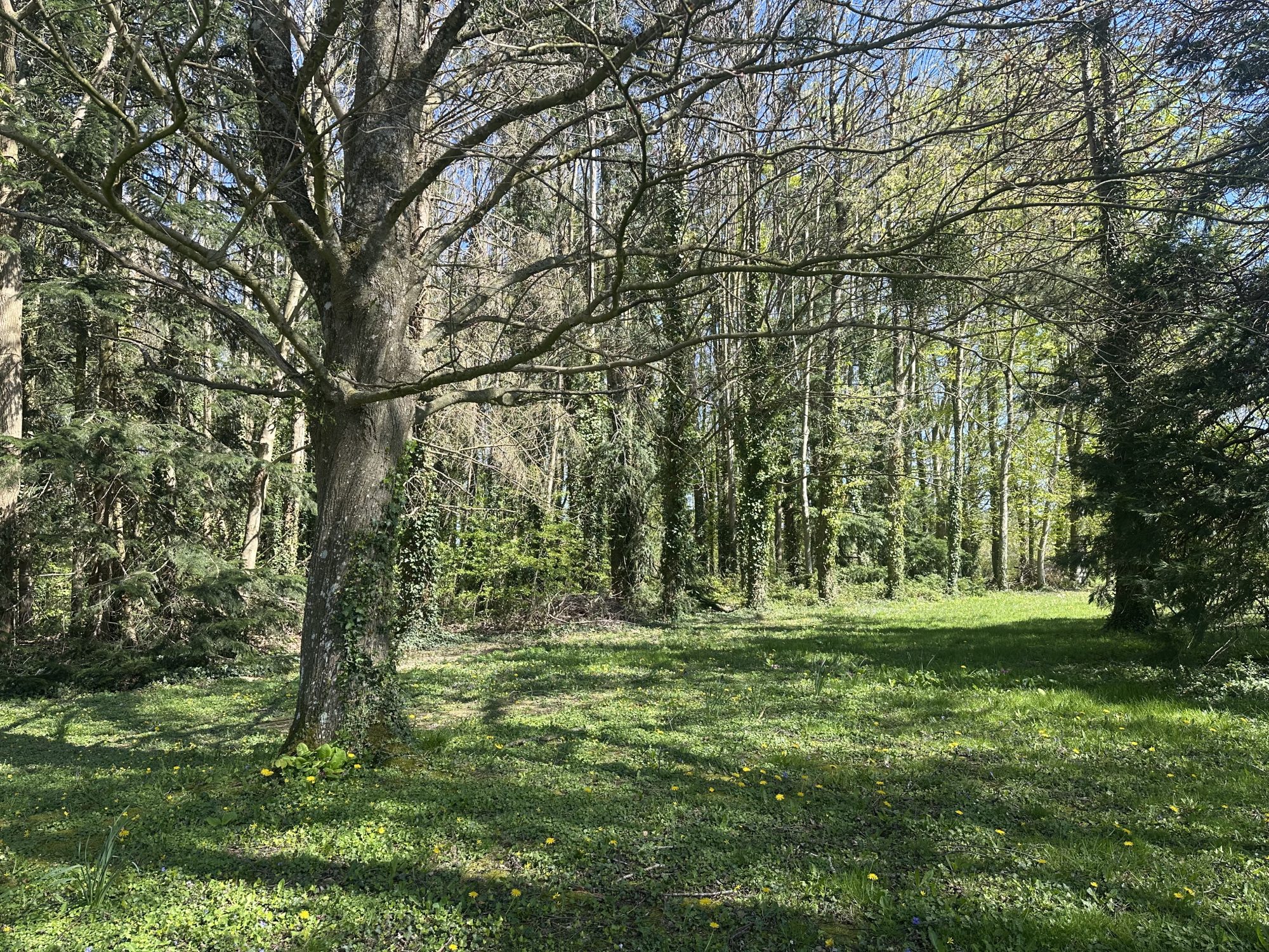 Photo 15 - Maison de campagne