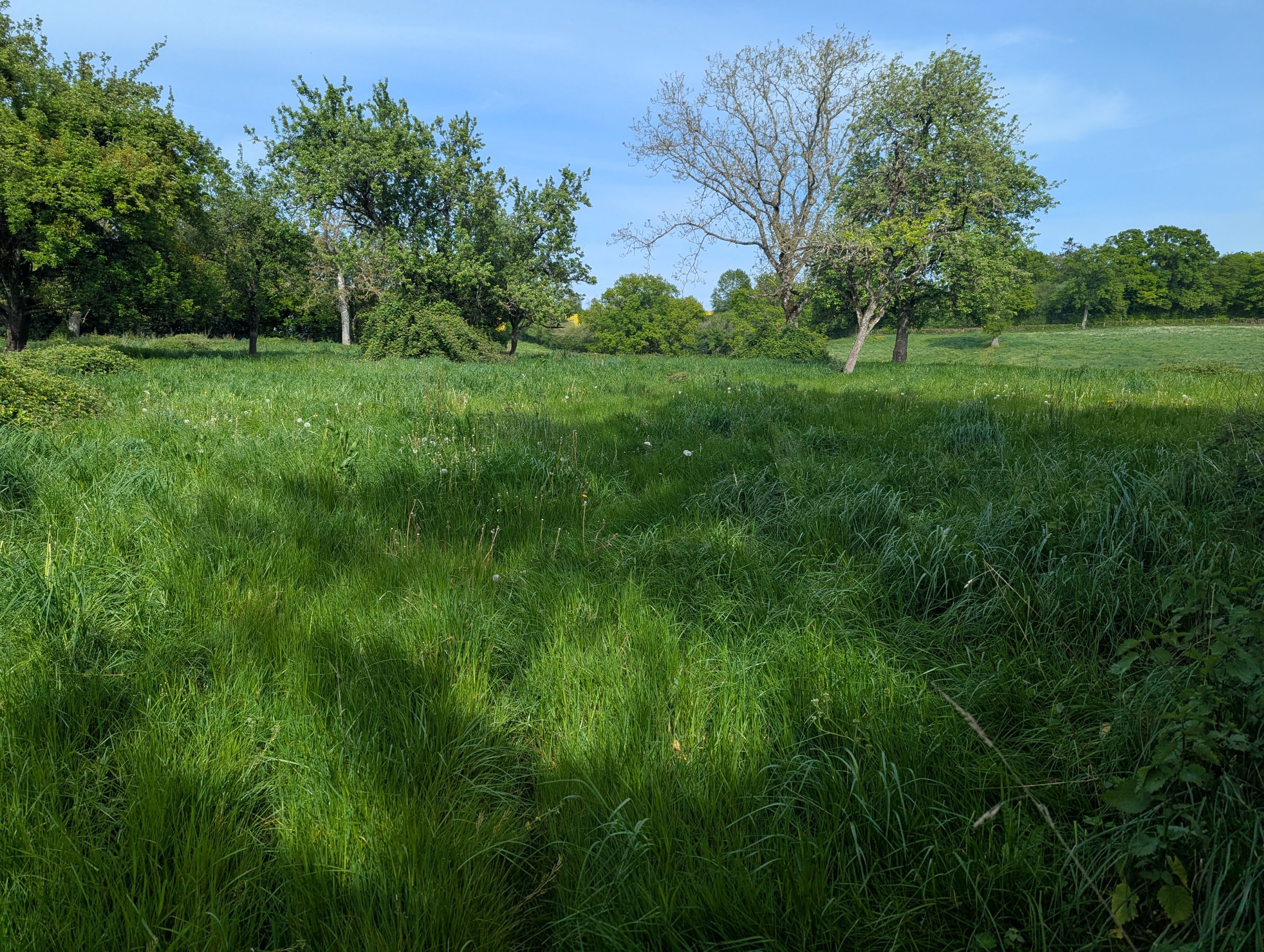 Photo 20 - Maison de campagne avec grange à porteau sur 1ha5 !