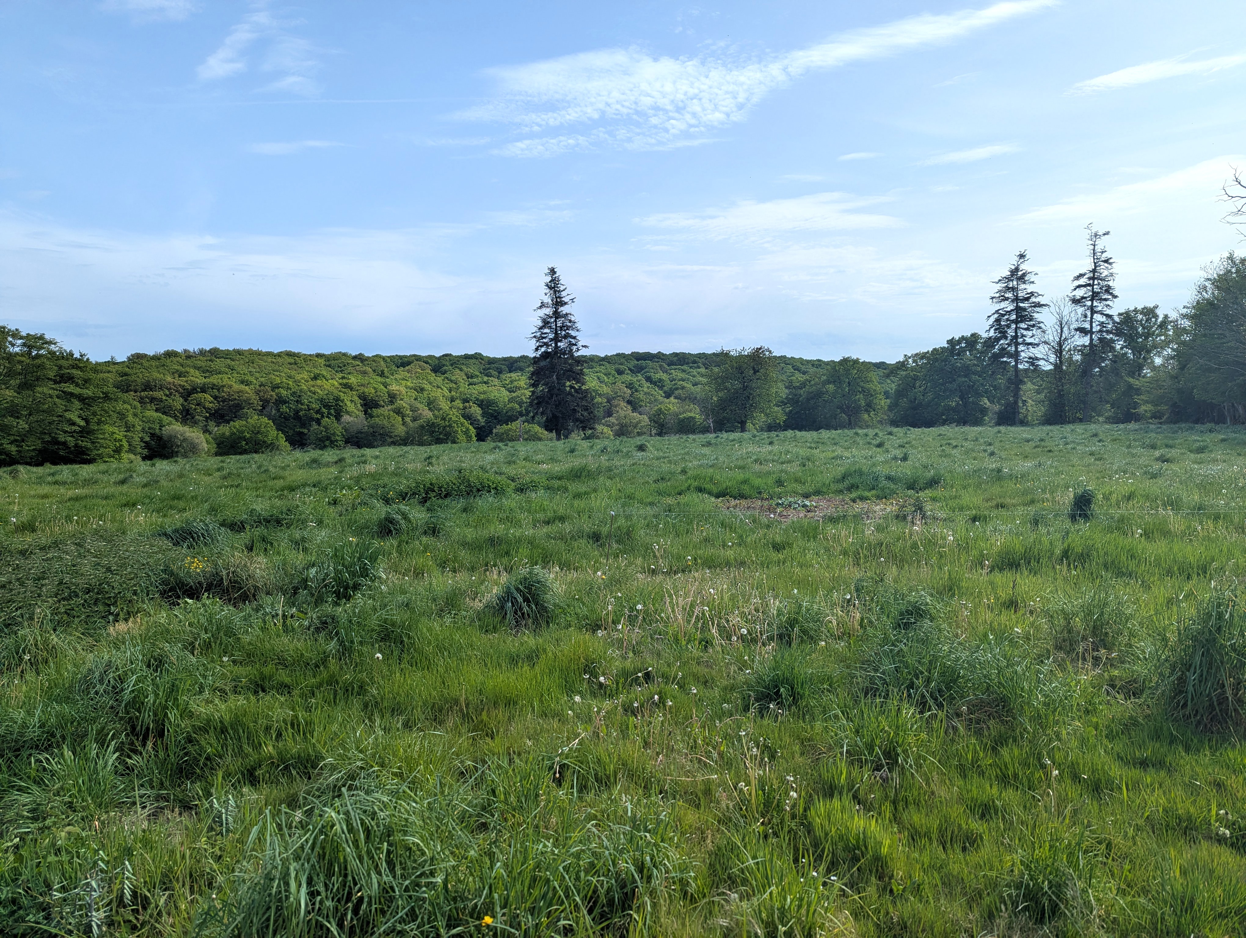 Photo 3 - Maison de campagne avec grange à porteau sur 1ha5 !
