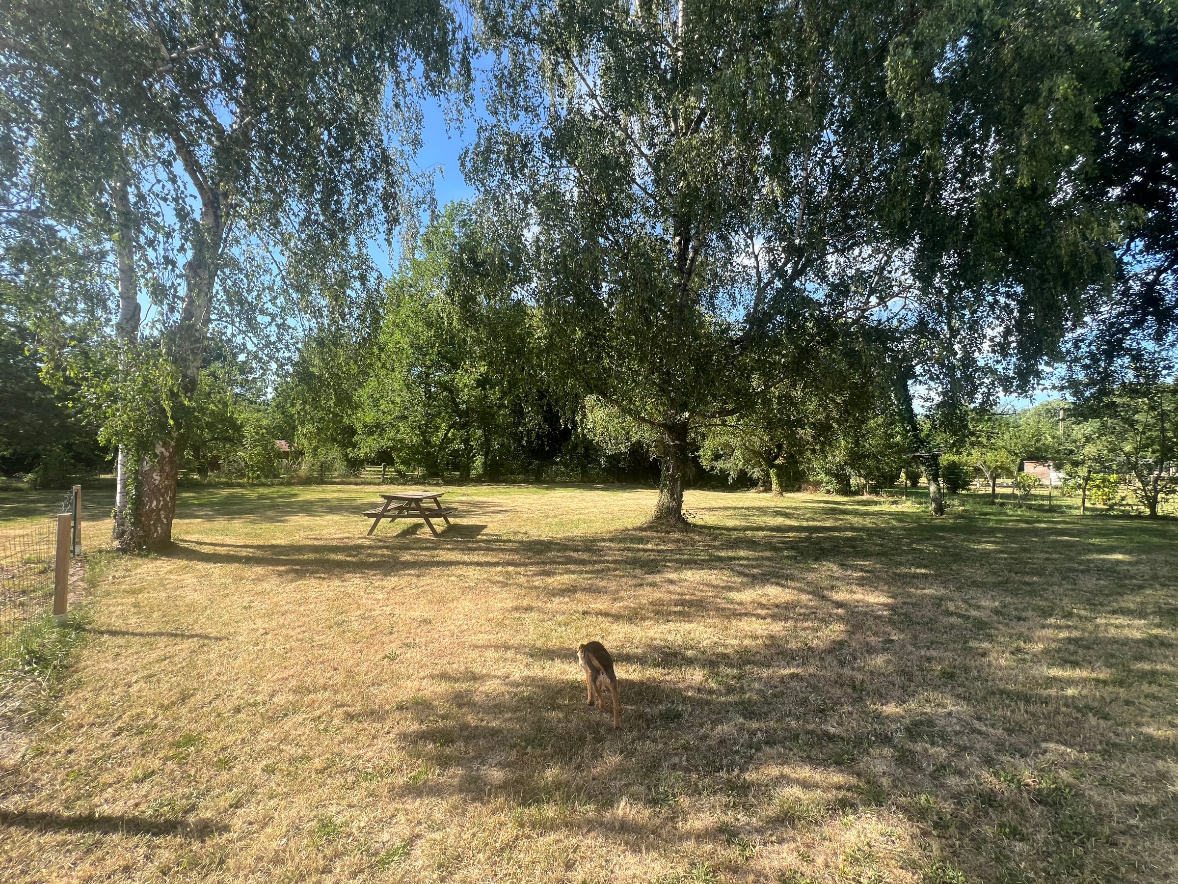 Photo 4 - Maison de campagne : Longère rénovée au calme, à proximité de Châteaumeillant