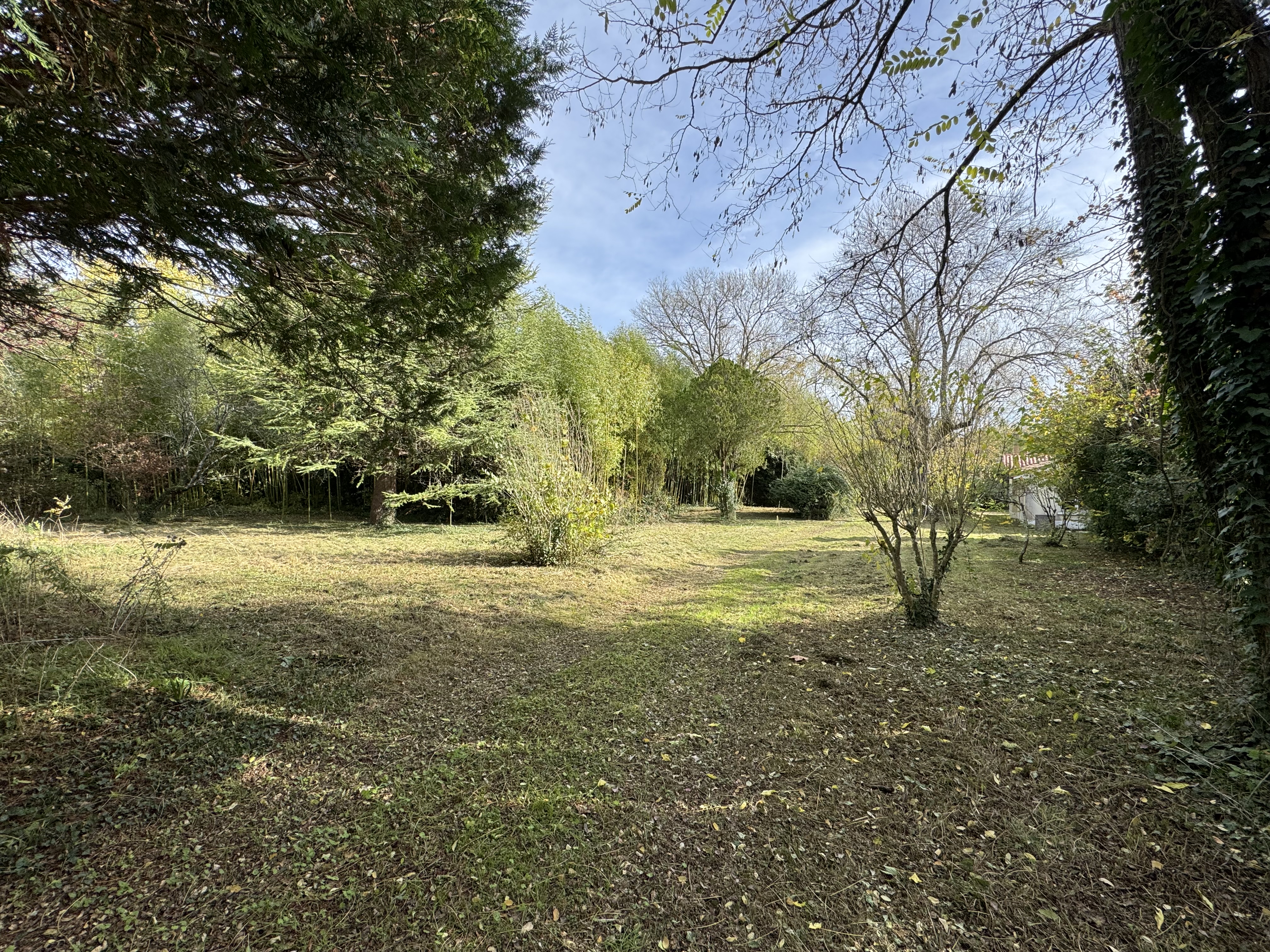 Photo 17 - Maison – 229 m² – Terrain 3000 m²