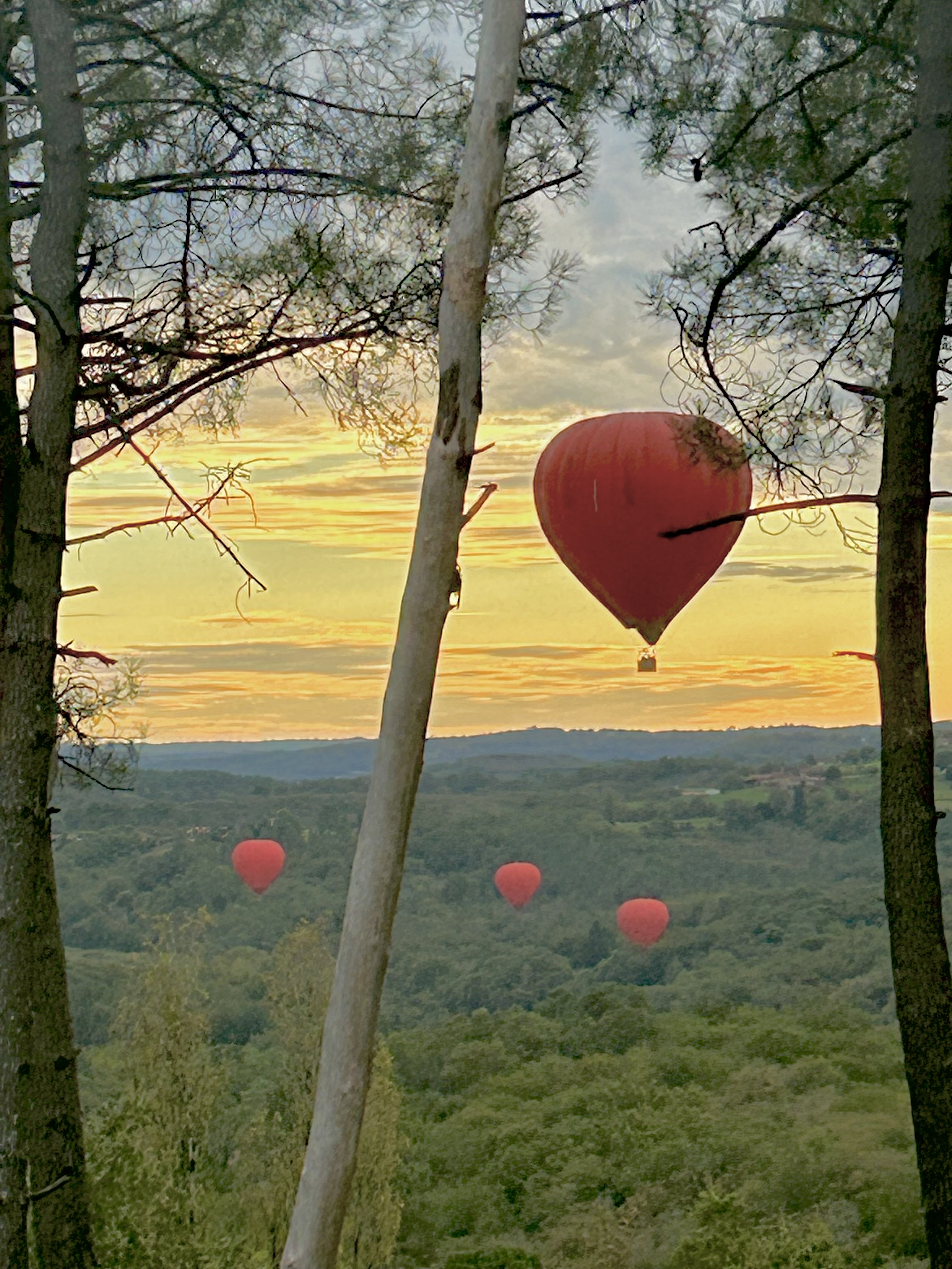 Photo 3 - Charmante Maison en Périgord Noir de plain-pied avec une vue extraordinaire et un DPE de toute beauté