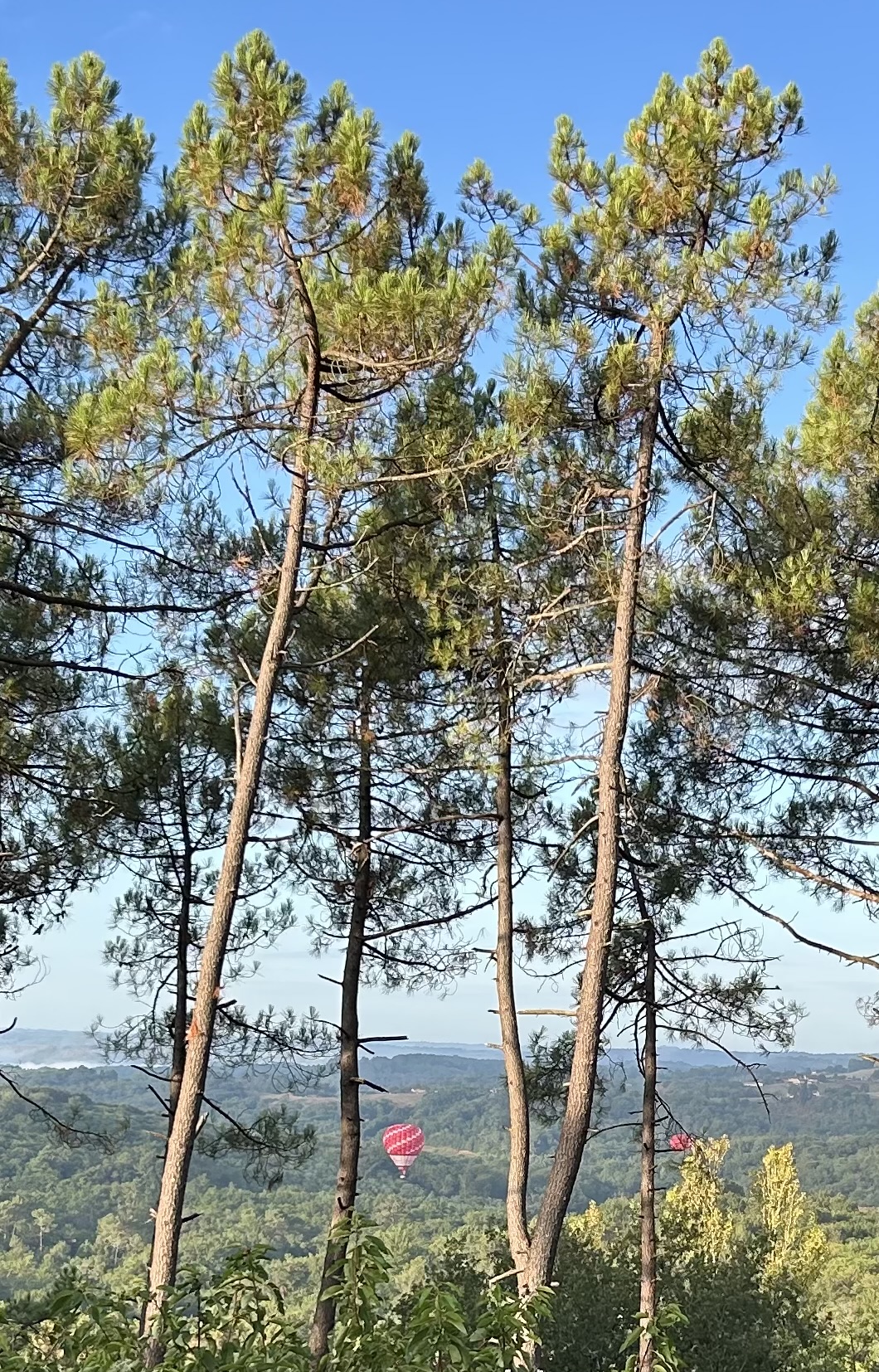 Photo 11 - Charmante Maison en Périgord Noir de plain-pied avec une vue extraordinaire et un DPE de toute beauté