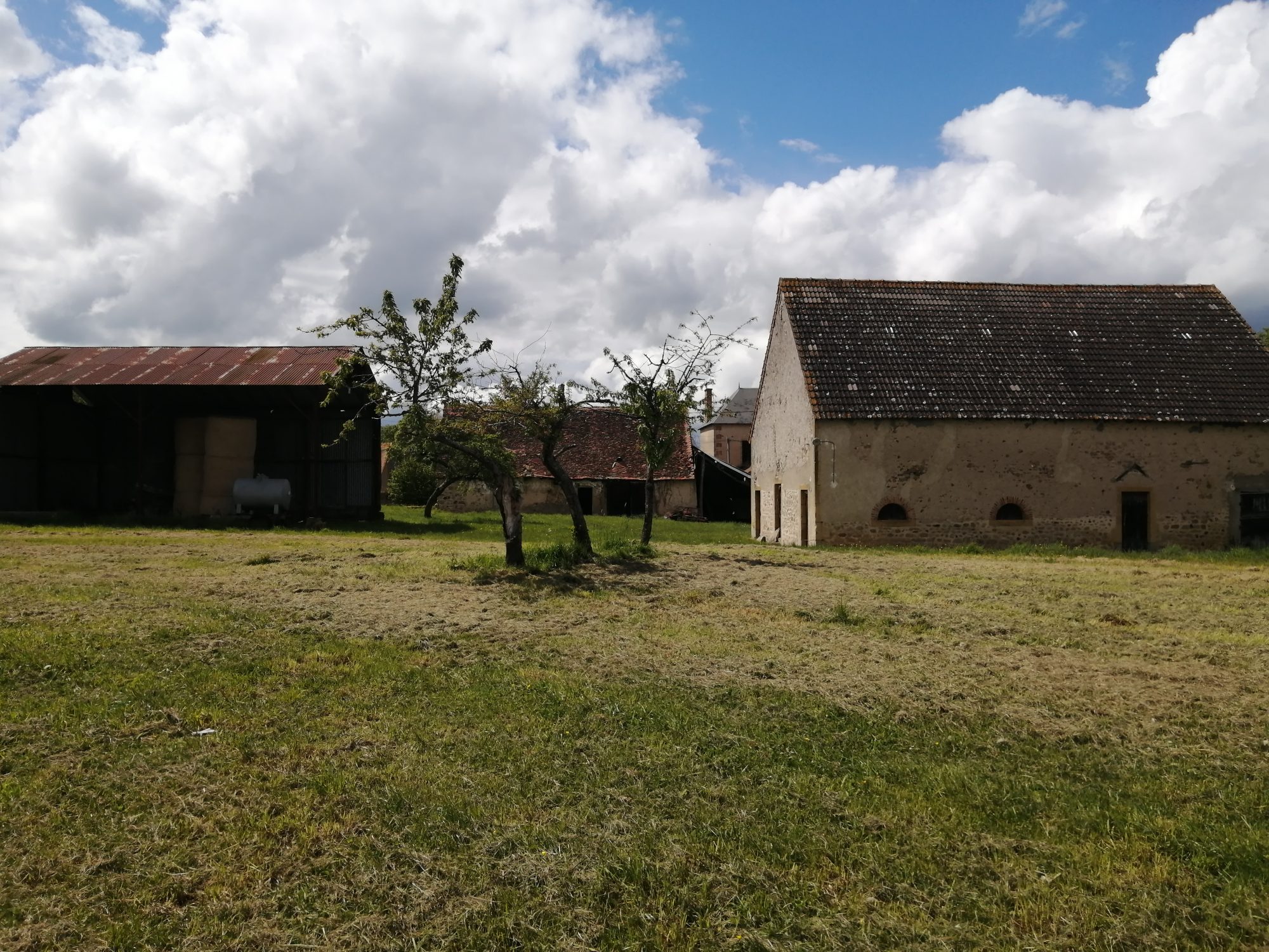Photo 4 - Ancien corps de ferme sur plus d&rsquo;un hectare !