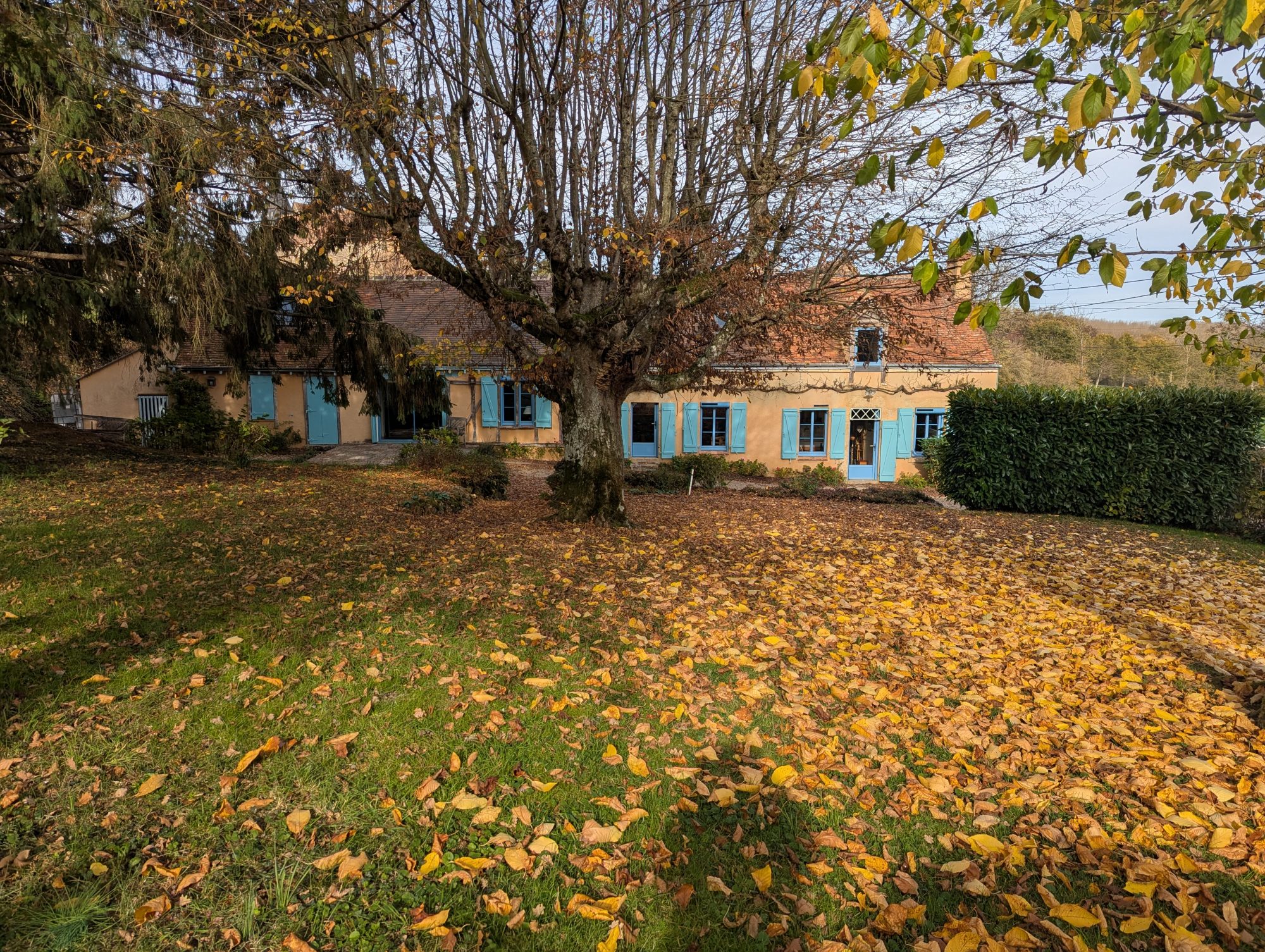 Photo 20 - Propriété de caractère !