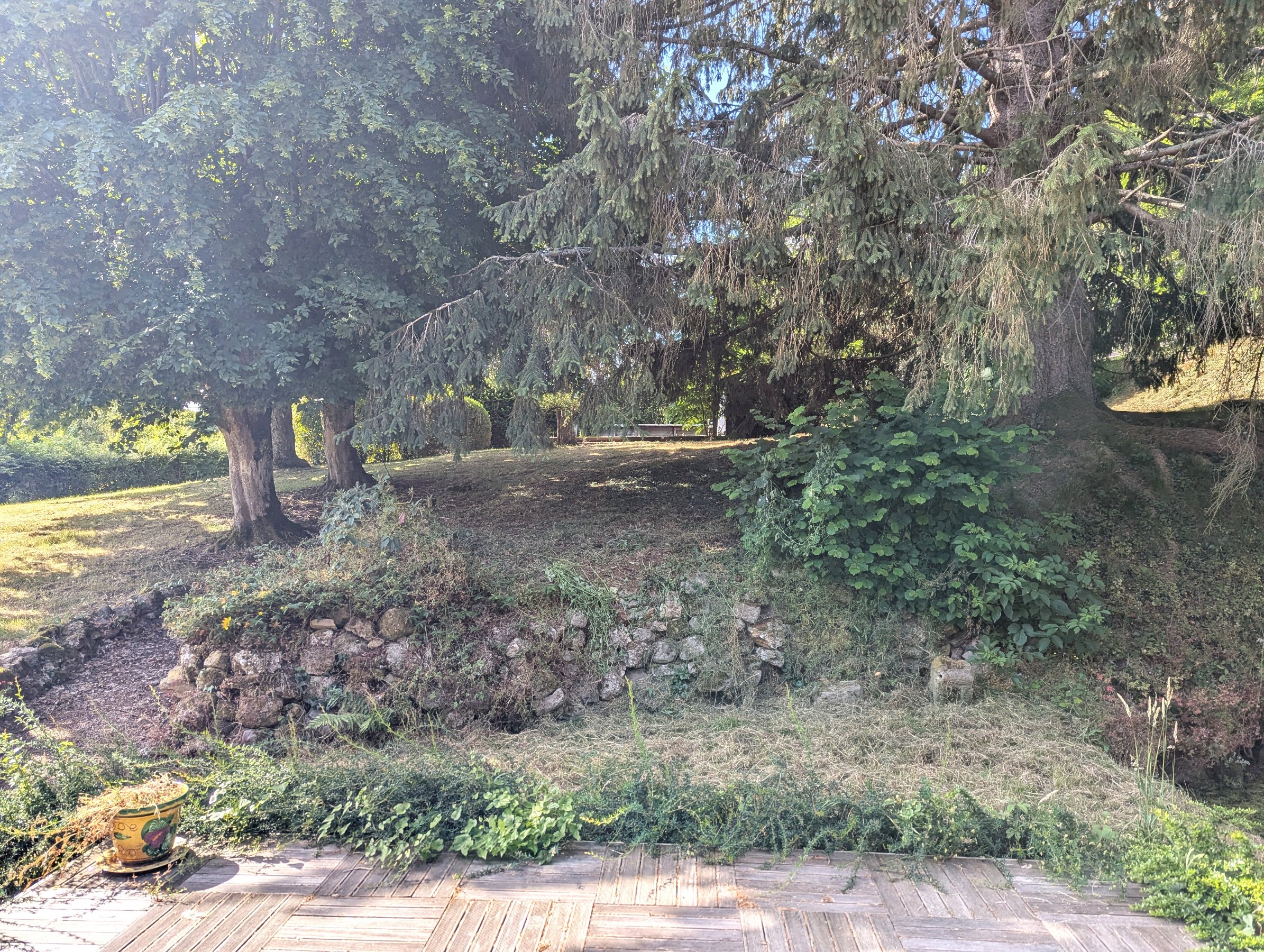 Photo 17 - Propriété de caractère !