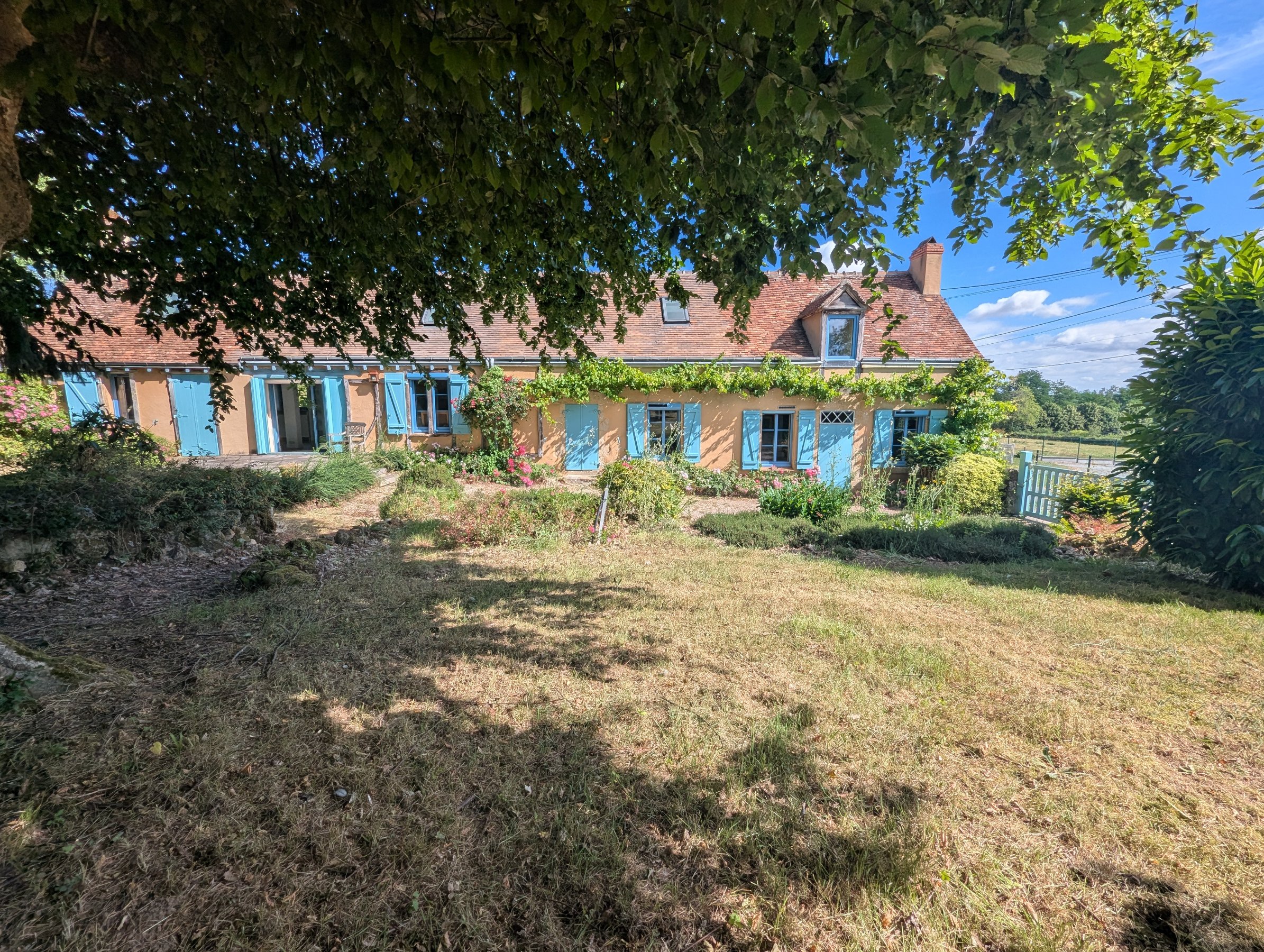 Photo 20 - Propriété de caractère !