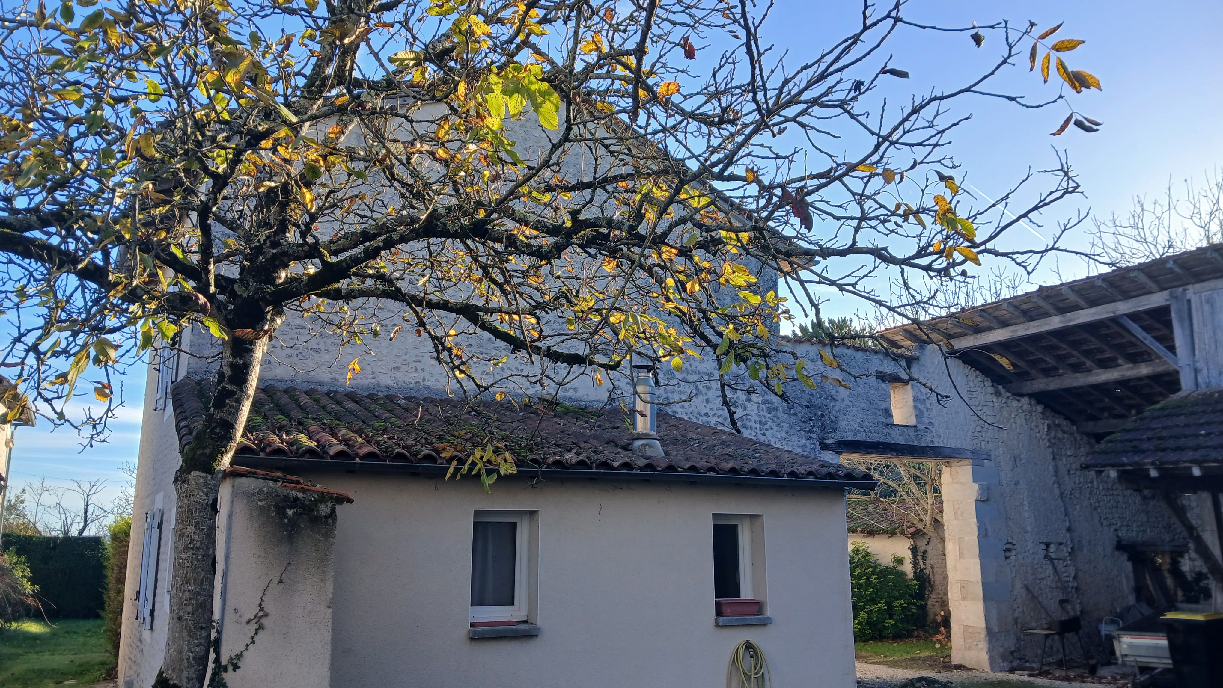 Photo 19 - Maison Charentaise piscine et dépendances