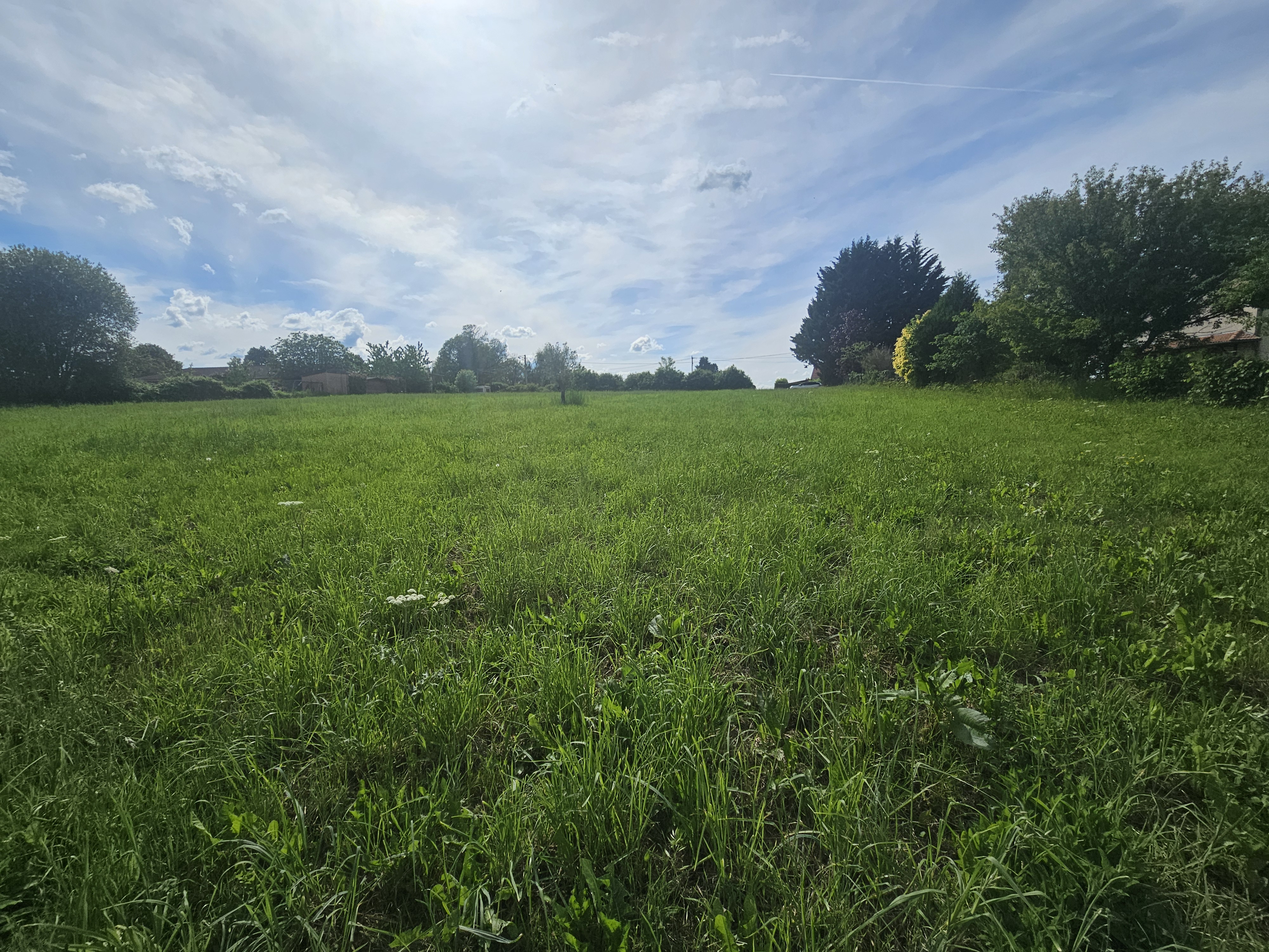 Photo 2 - Terrain borné et viabilisé avec vue