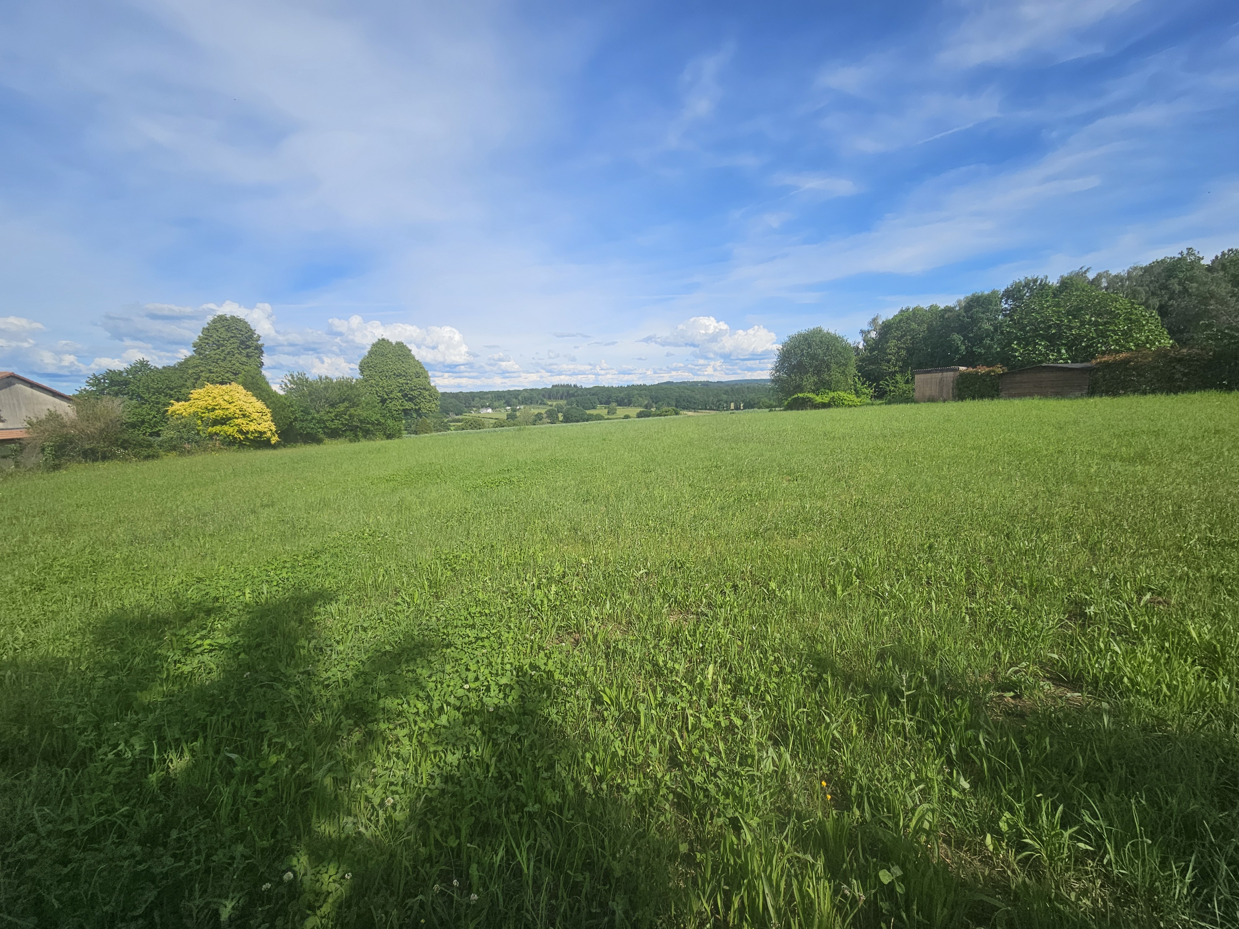 Photo 3 - Terrain borné et viabilisé avec vue