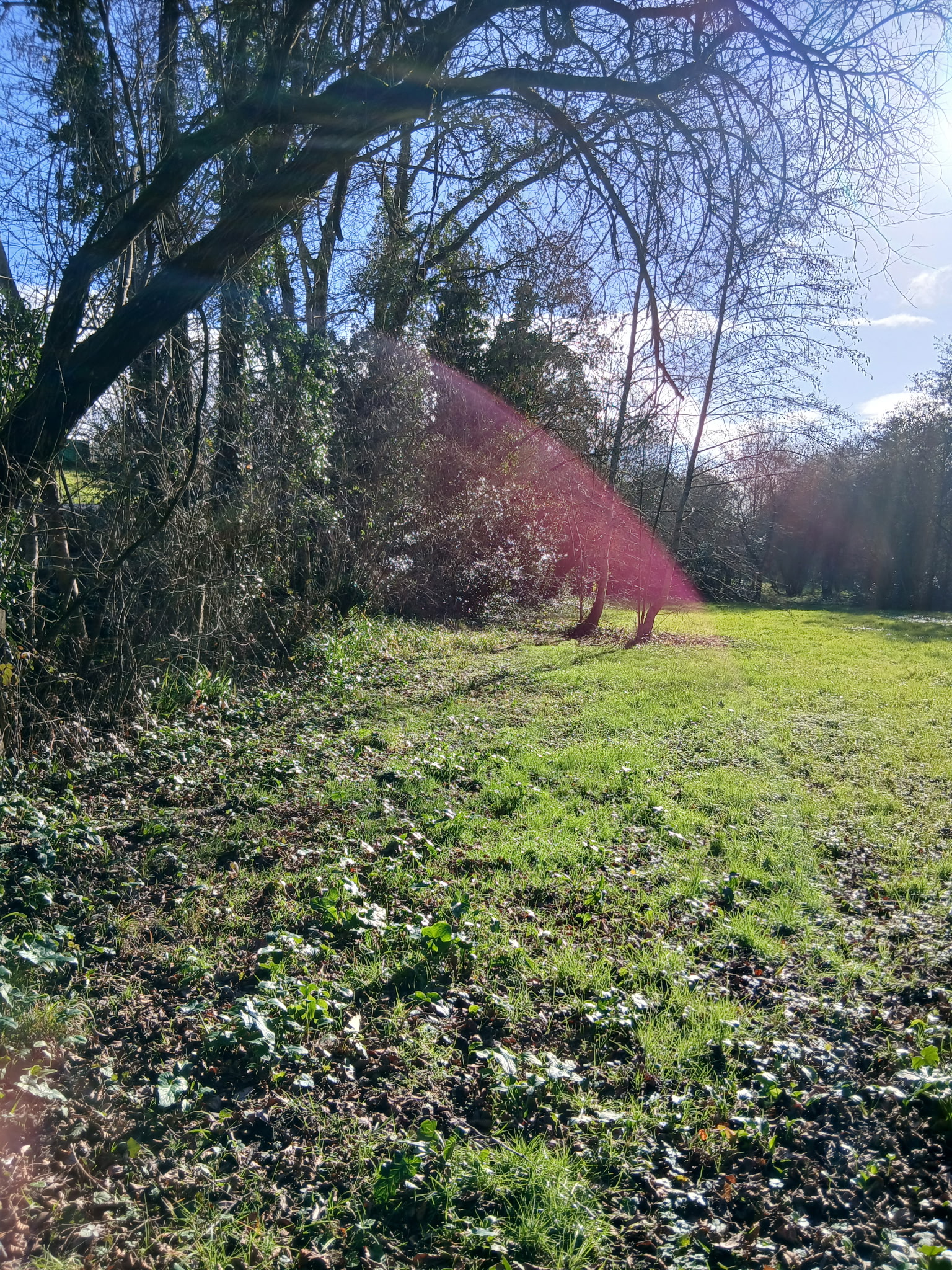 Photo 2 - Terrain de loisirs